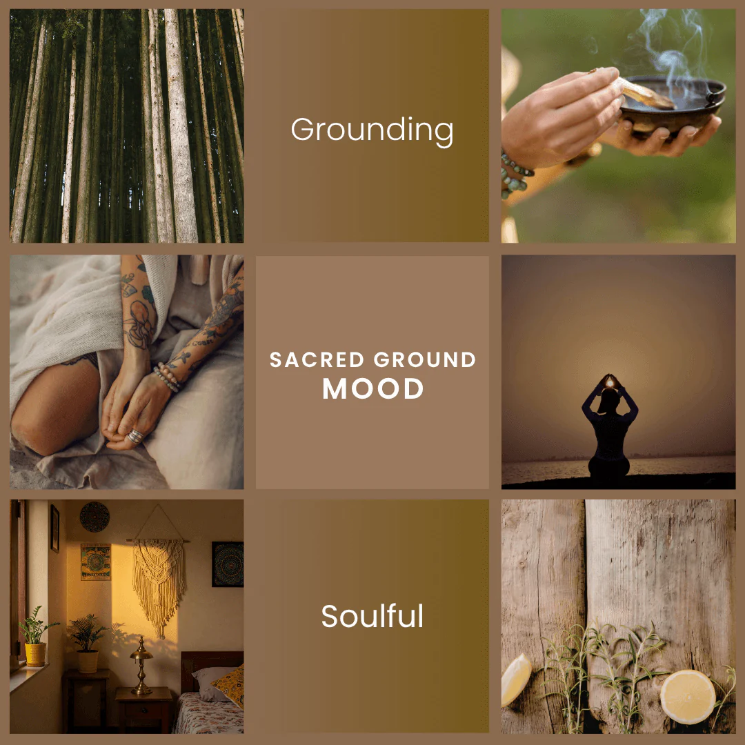 Sacred Ground – Citrus Zest & Palo Santo Soy Wax Melts - Image 2