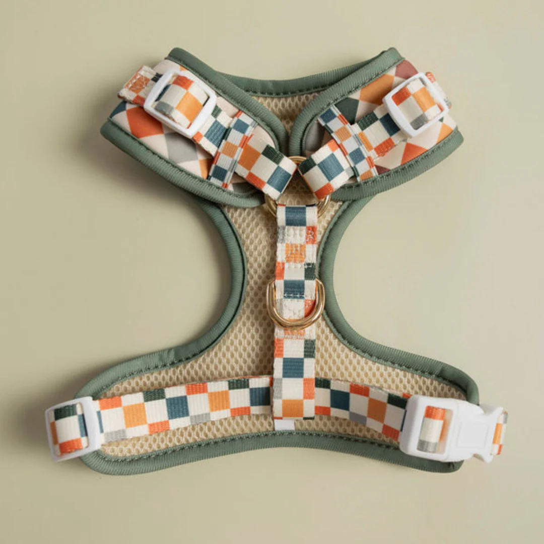 Sage & Cider Adjustable Harness - Image 2