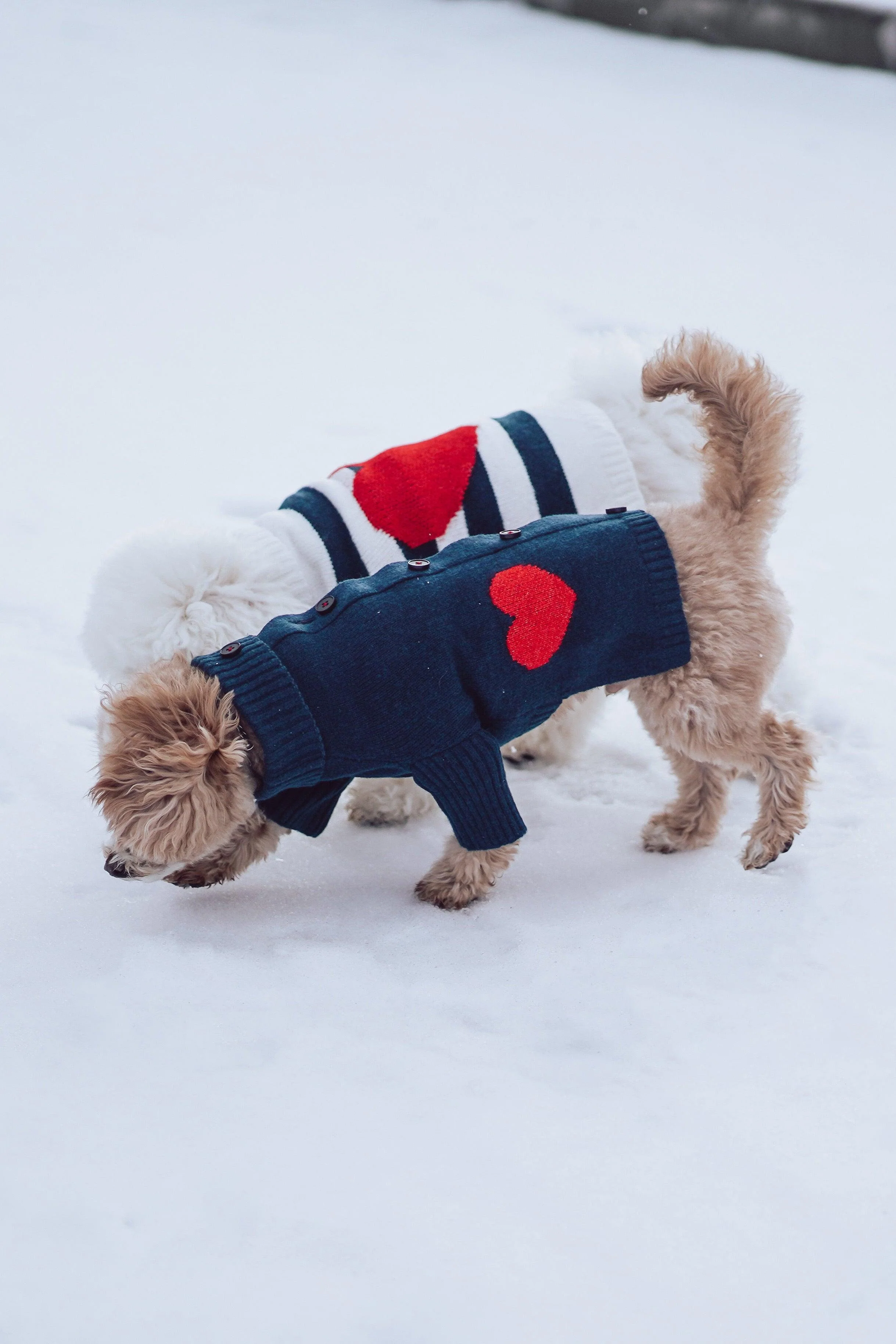 Sailor of My Heart Striped Turtleneck Sweater - Image 10