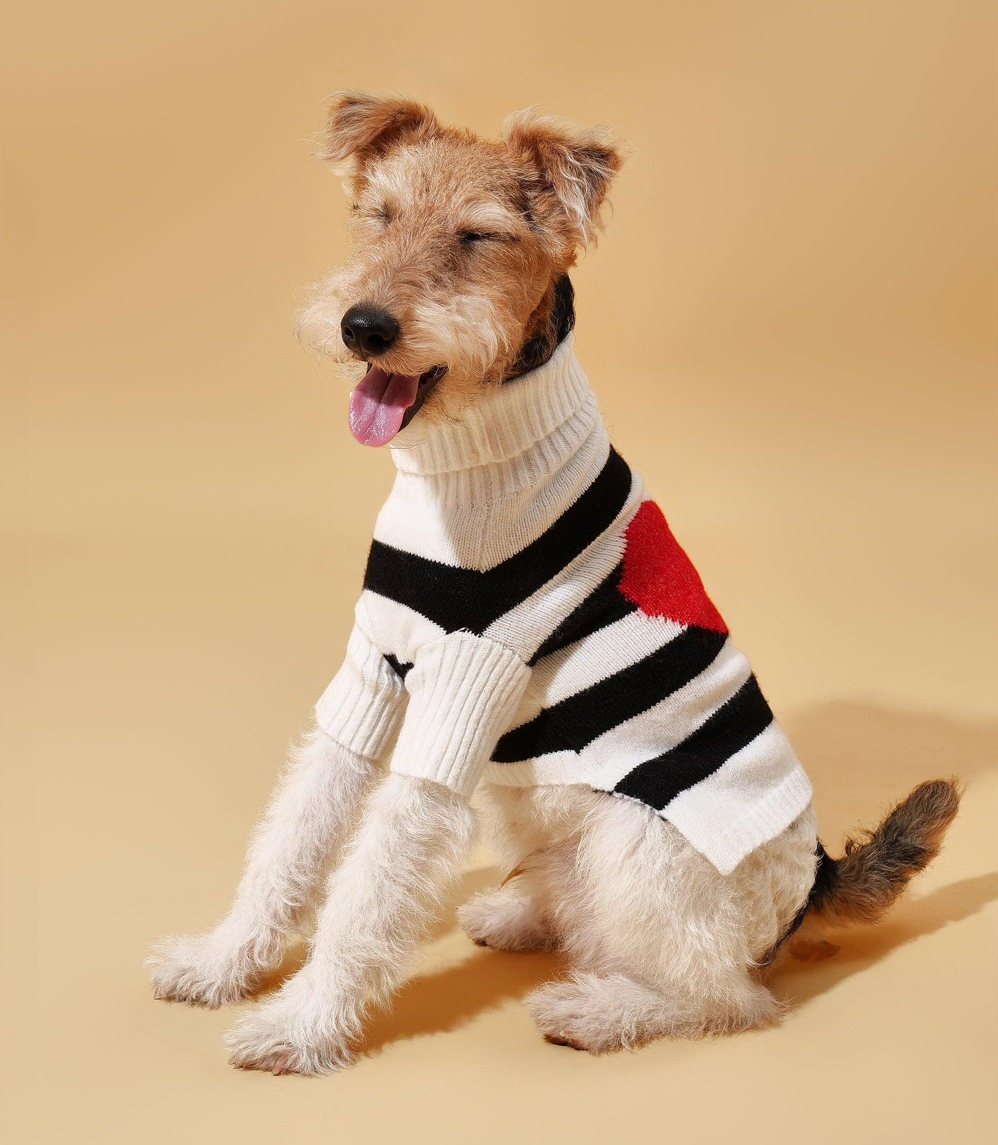 Sailor of My Heart Striped Turtleneck Sweater - Image 4