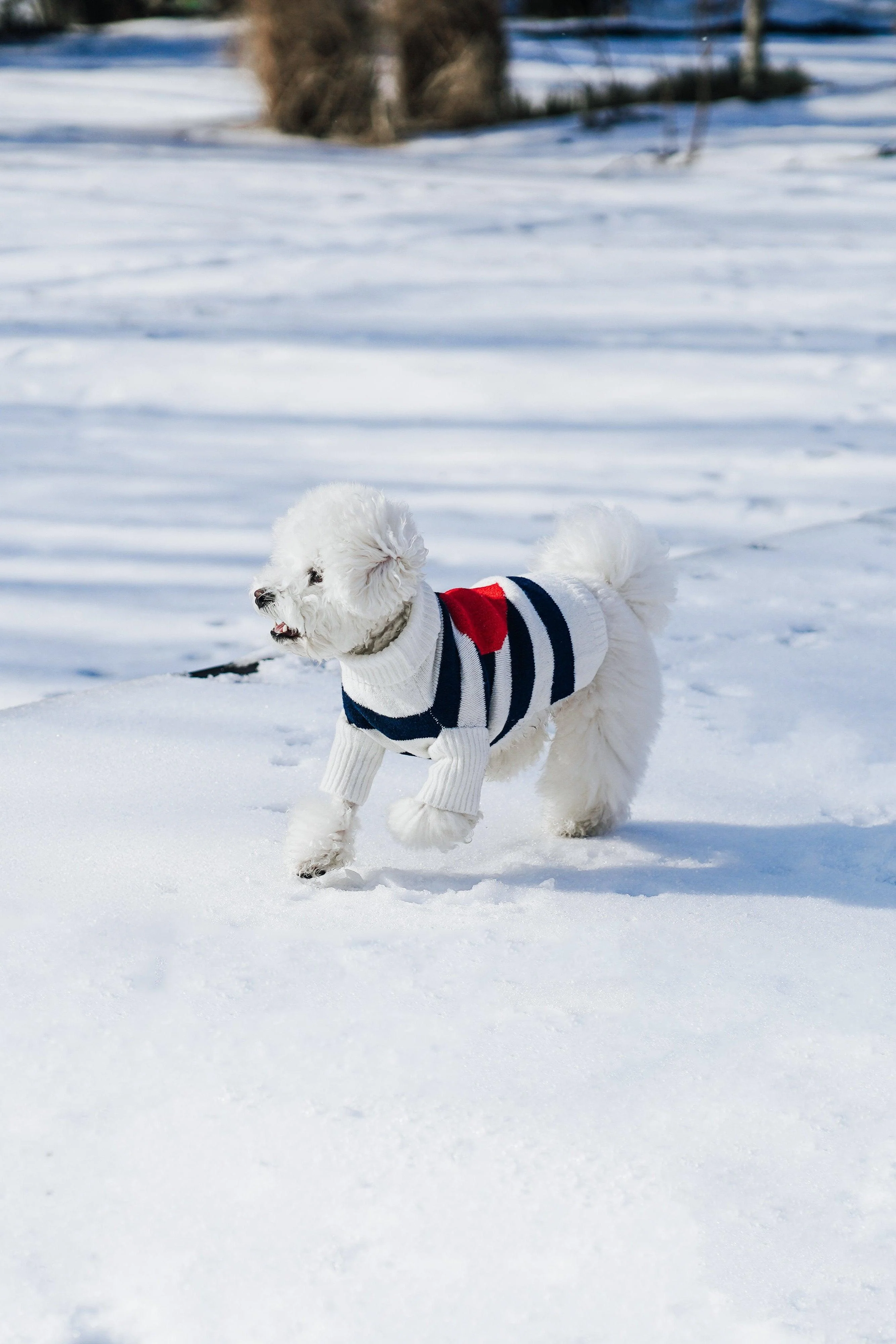Sailor of My Heart Striped Turtleneck Sweater - Image 8