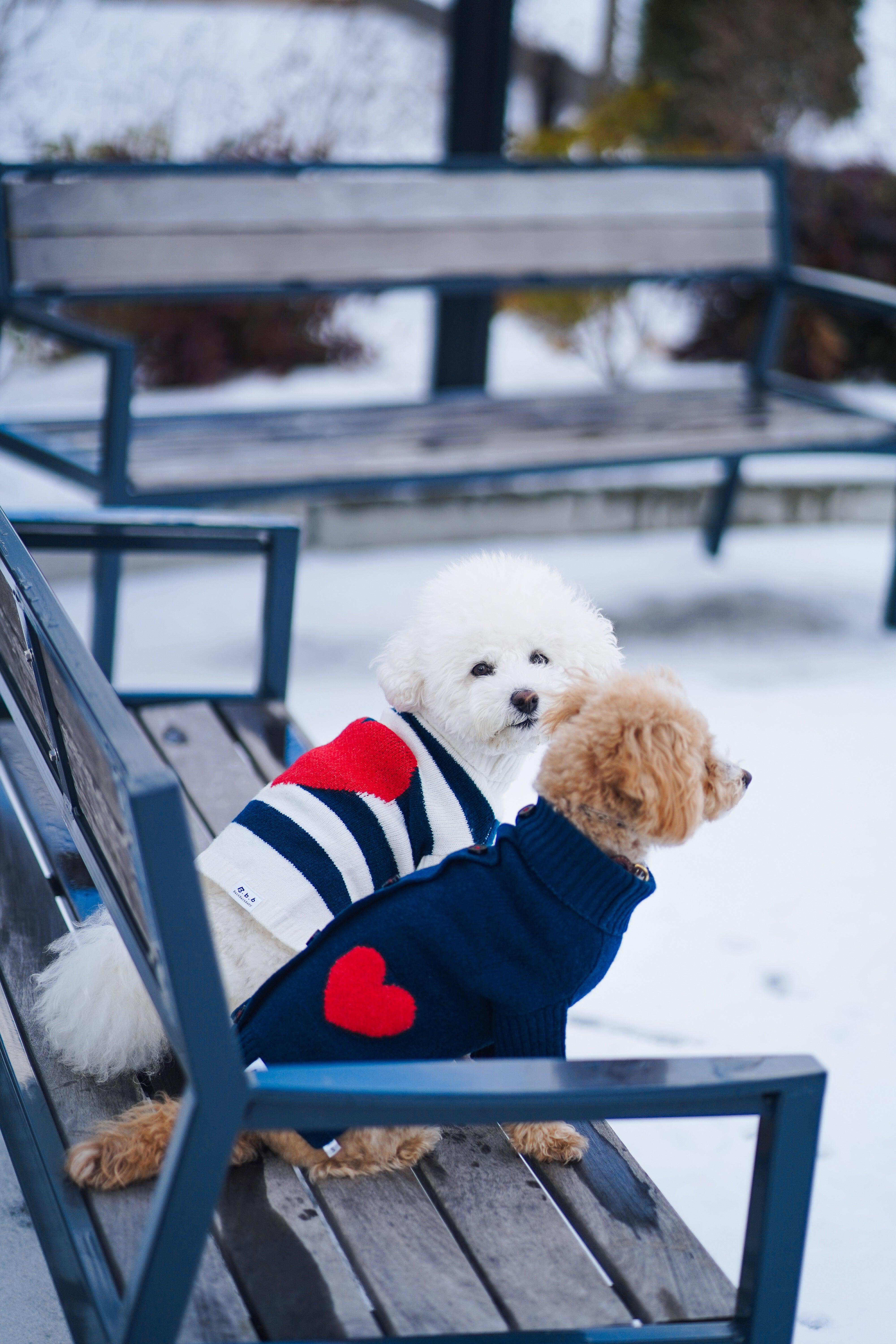 Sailor of My Heart Striped Turtleneck Sweater - Image 9
