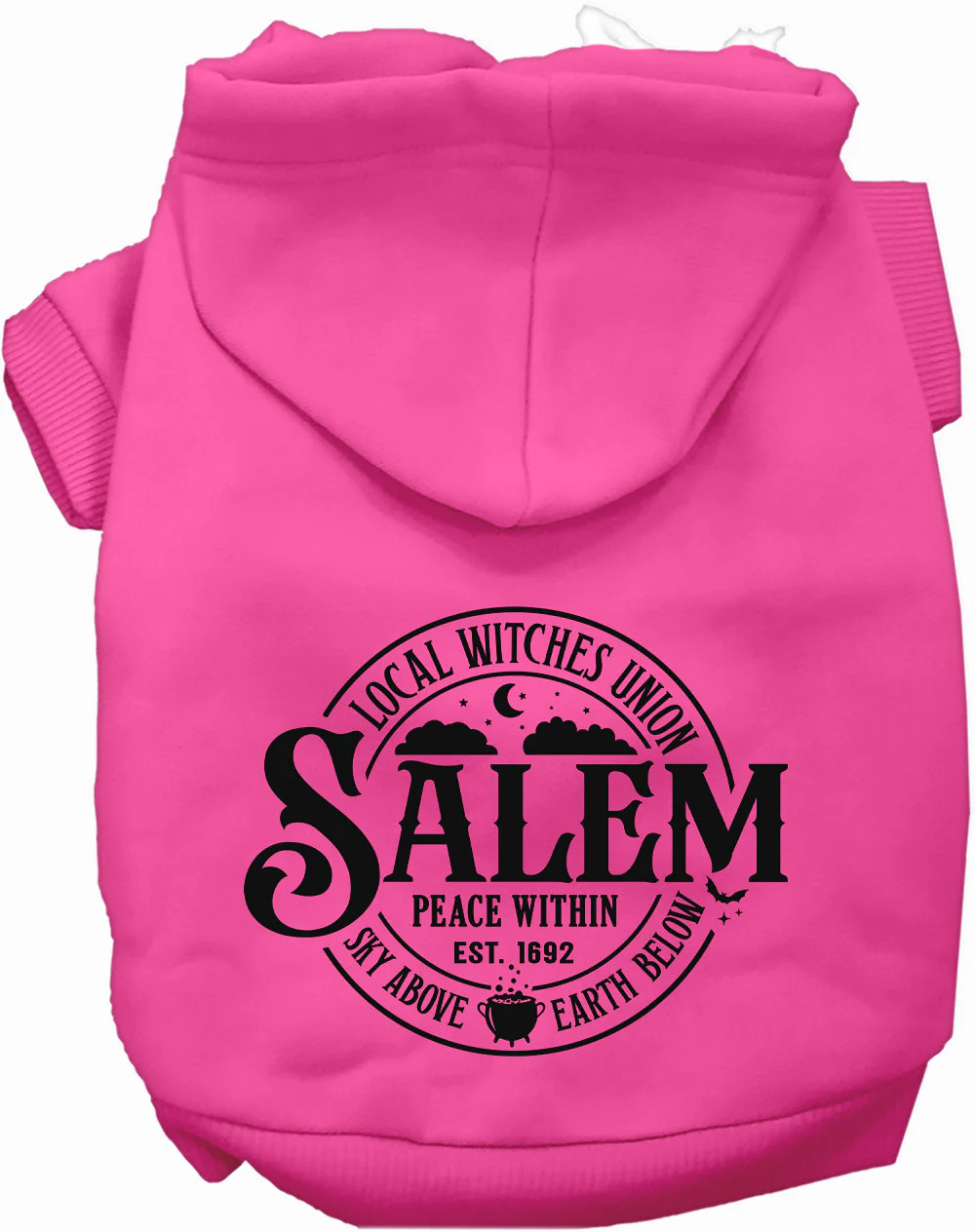 Salem Witches Union Halloween Pet Hoodie - Image 3