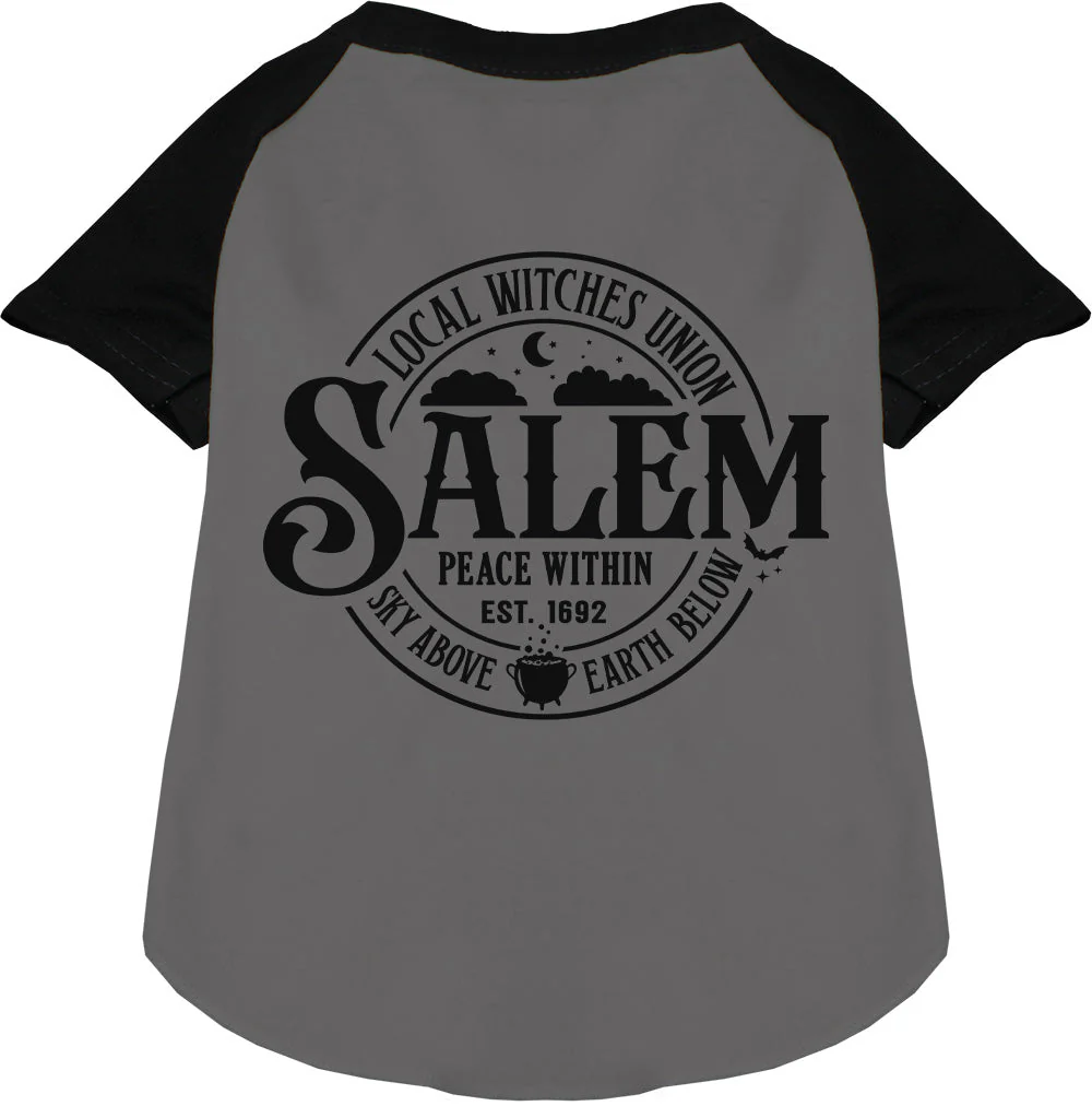 Salem Witches Union Pet Raglan Shirt - Image 3