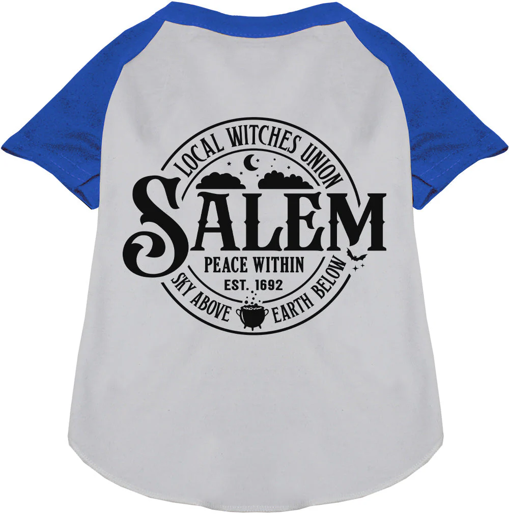 Salem Witches Union Pet Raglan Shirt - Image 4