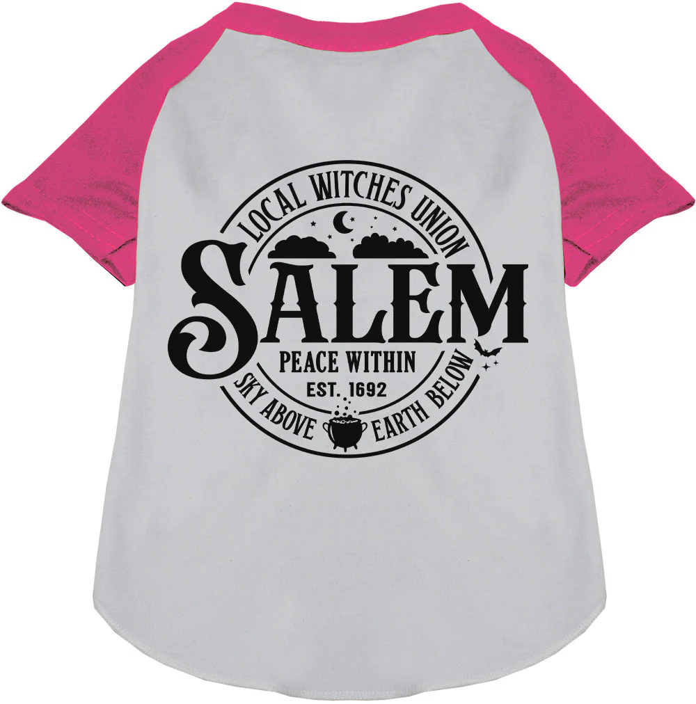 Salem Witches Union Pet Raglan Shirt - Image 5