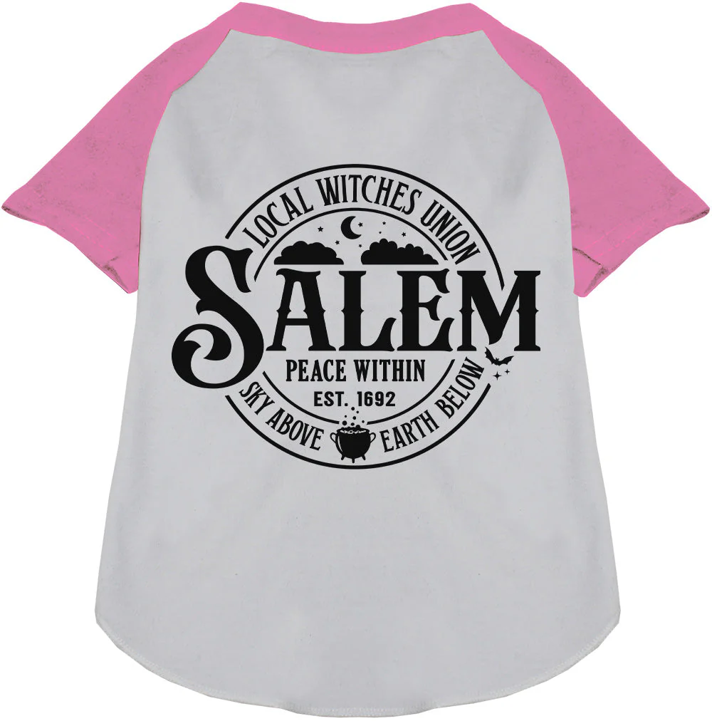 Salem Witches Union Pet Raglan Shirt - Image 6