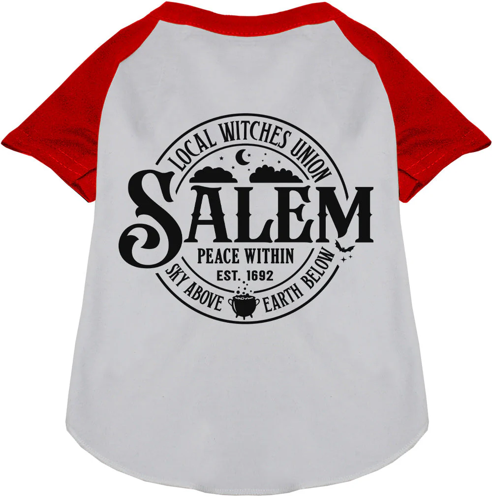 Salem Witches Union Pet Raglan Shirt - Image 7