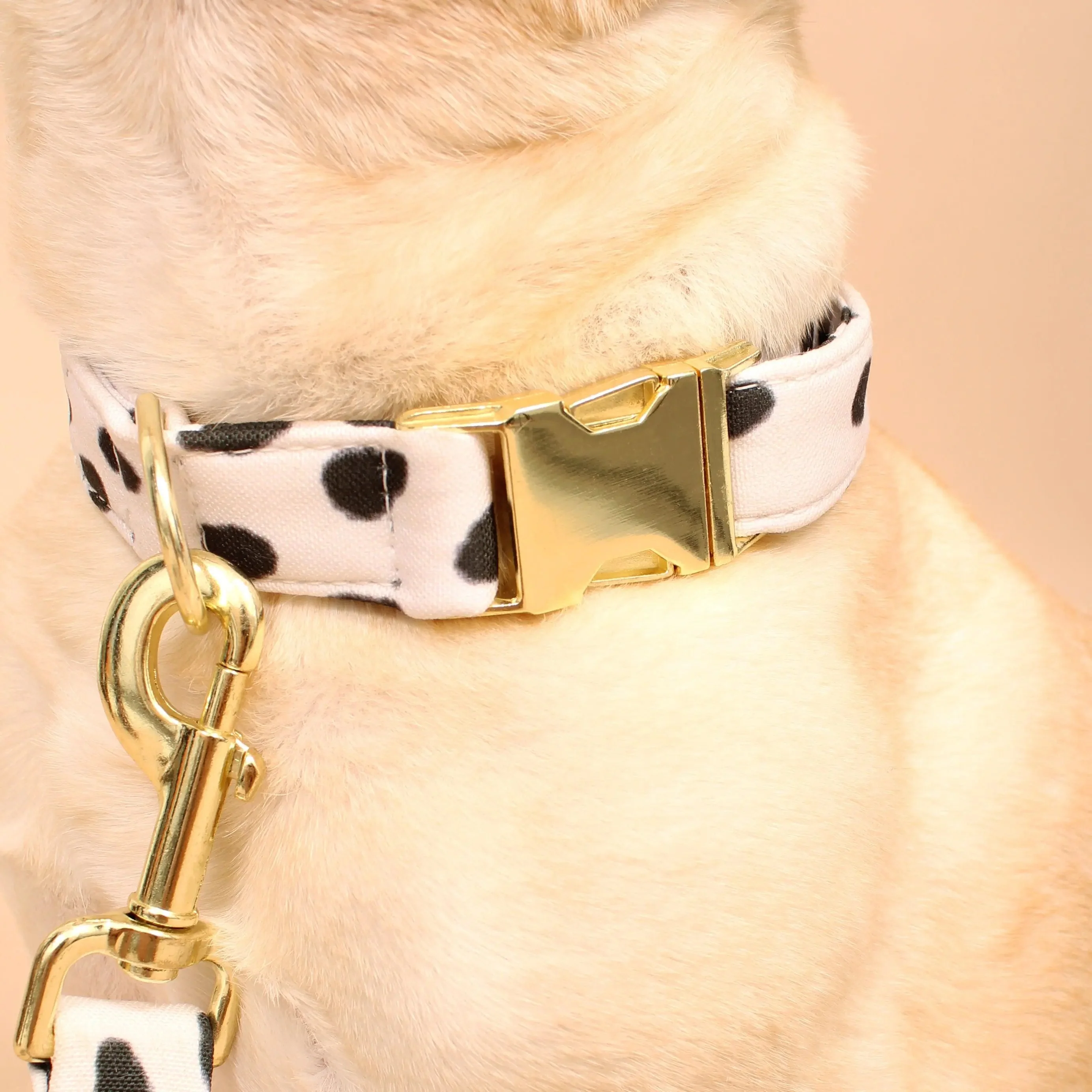 San Francisco Recycled Dog Collar - Image 2