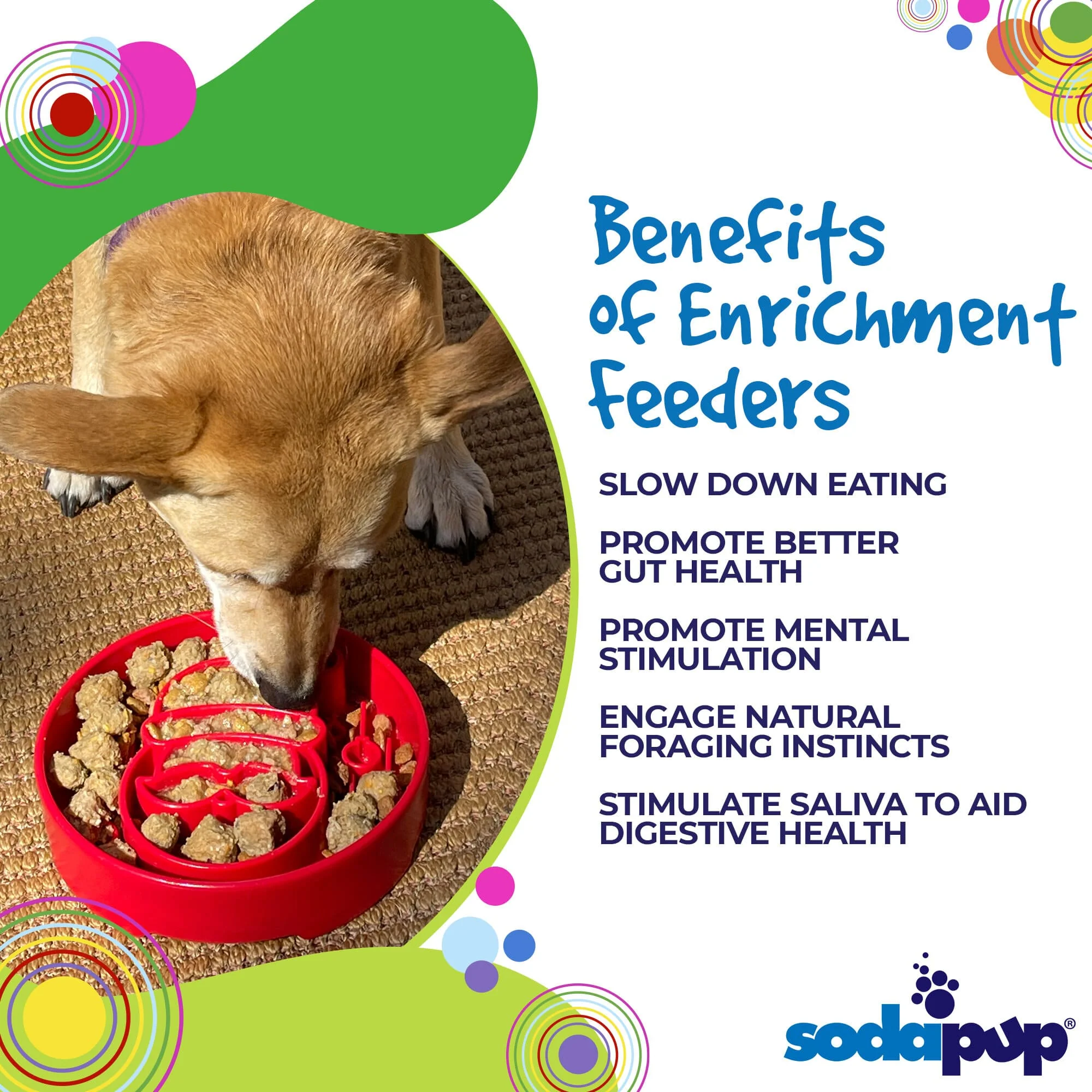 Santa Christmas eBowl Deep Slow Feeder Dog Bowl for Enrichment | USA Made - Image 3