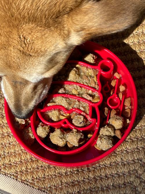 Santa Christmas eBowl Deep Slow Feeder Dog Bowl for Enrichment | USA Made - Image 5