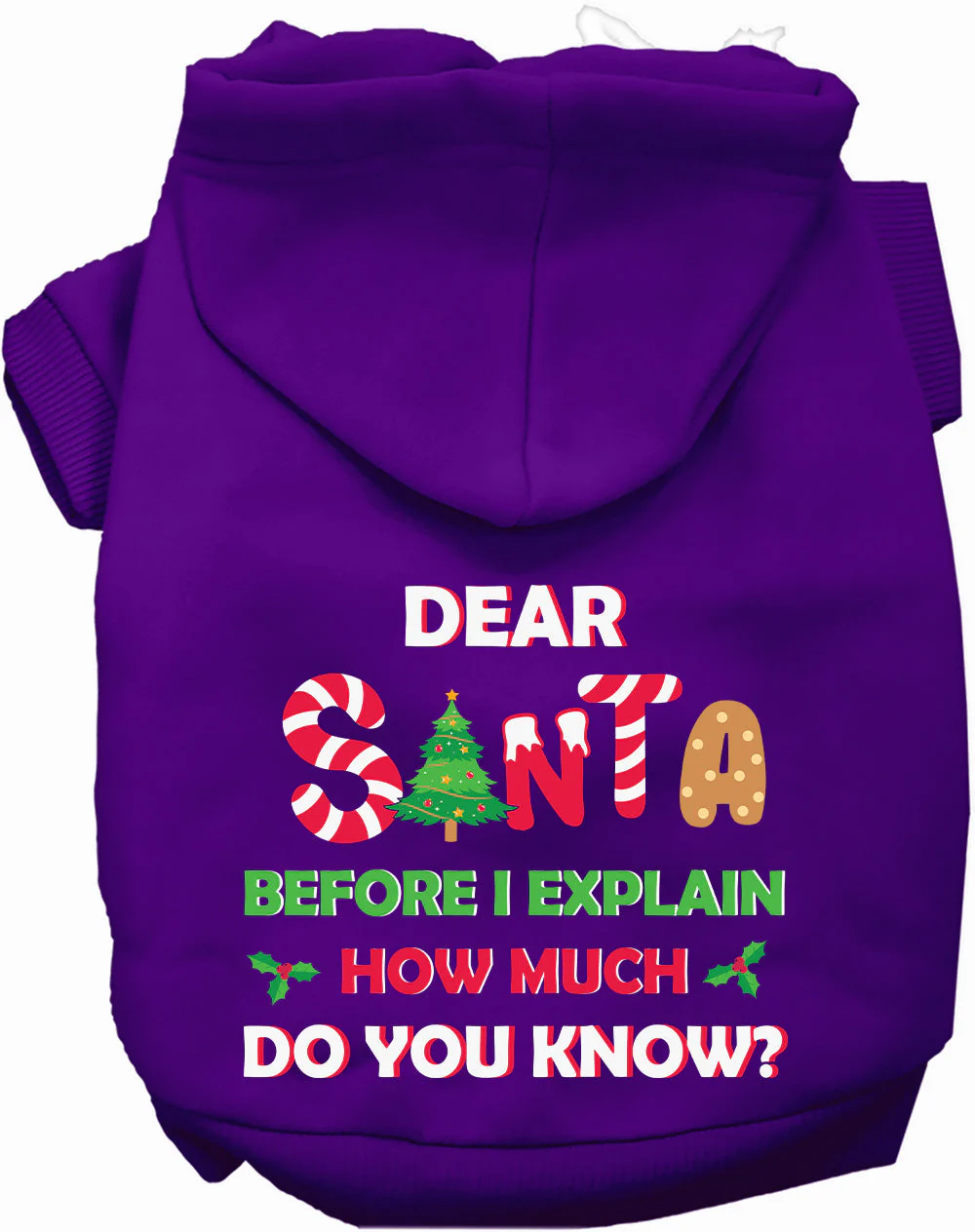 Santa, How Much Do You Know? Christmas Pet Hoodie - Image 10
