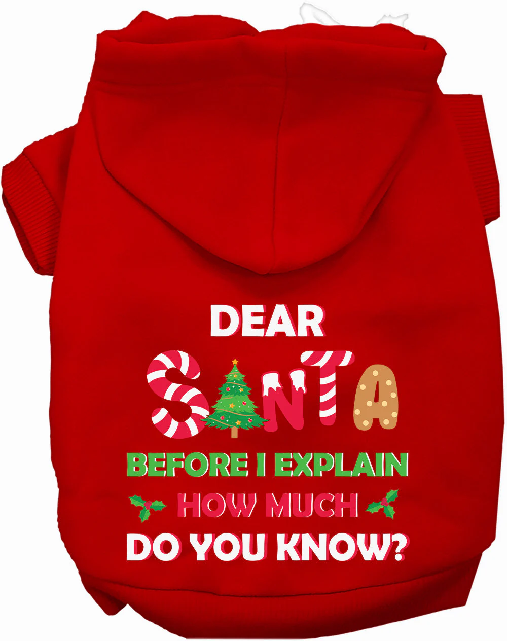 Santa, How Much Do You Know? Christmas Pet Hoodie - Image 11