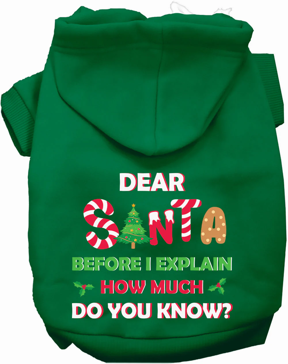 Santa, How Much Do You Know? Christmas Pet Hoodie - Image 3
