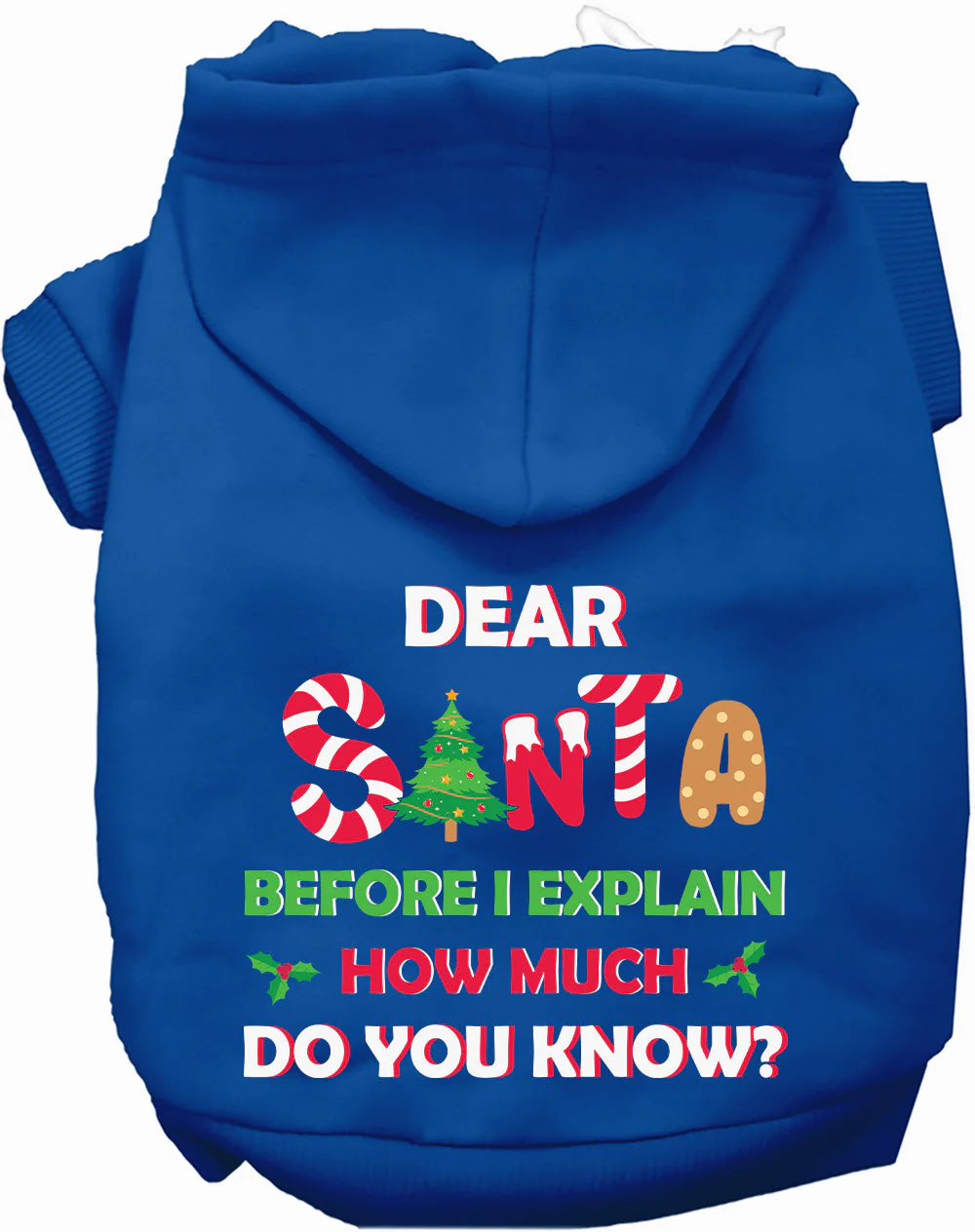 Santa, How Much Do You Know? Christmas Pet Hoodie - Image 4