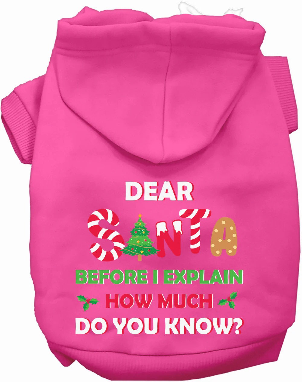Santa, How Much Do You Know? Christmas Pet Hoodie - Image 5