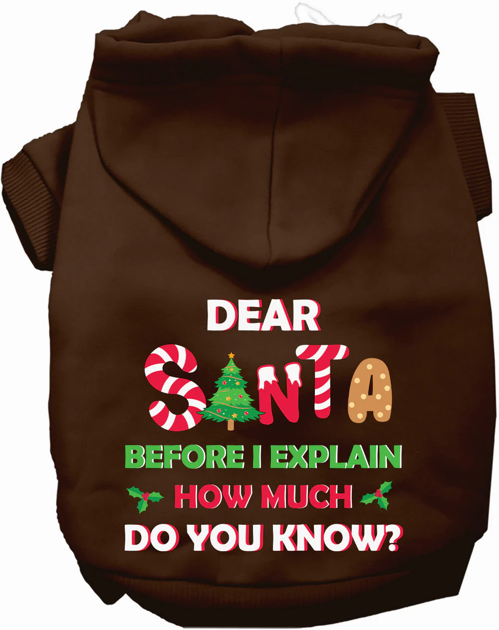 Santa, How Much Do You Know? Christmas Pet Hoodie - Image 6