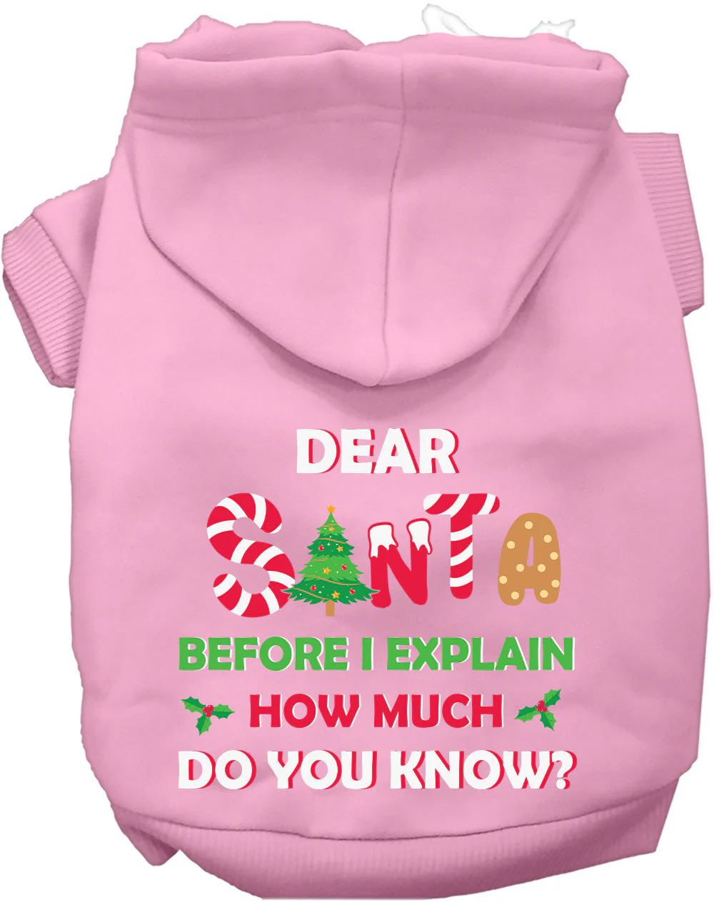 Santa, How Much Do You Know? Christmas Pet Hoodie - Image 7