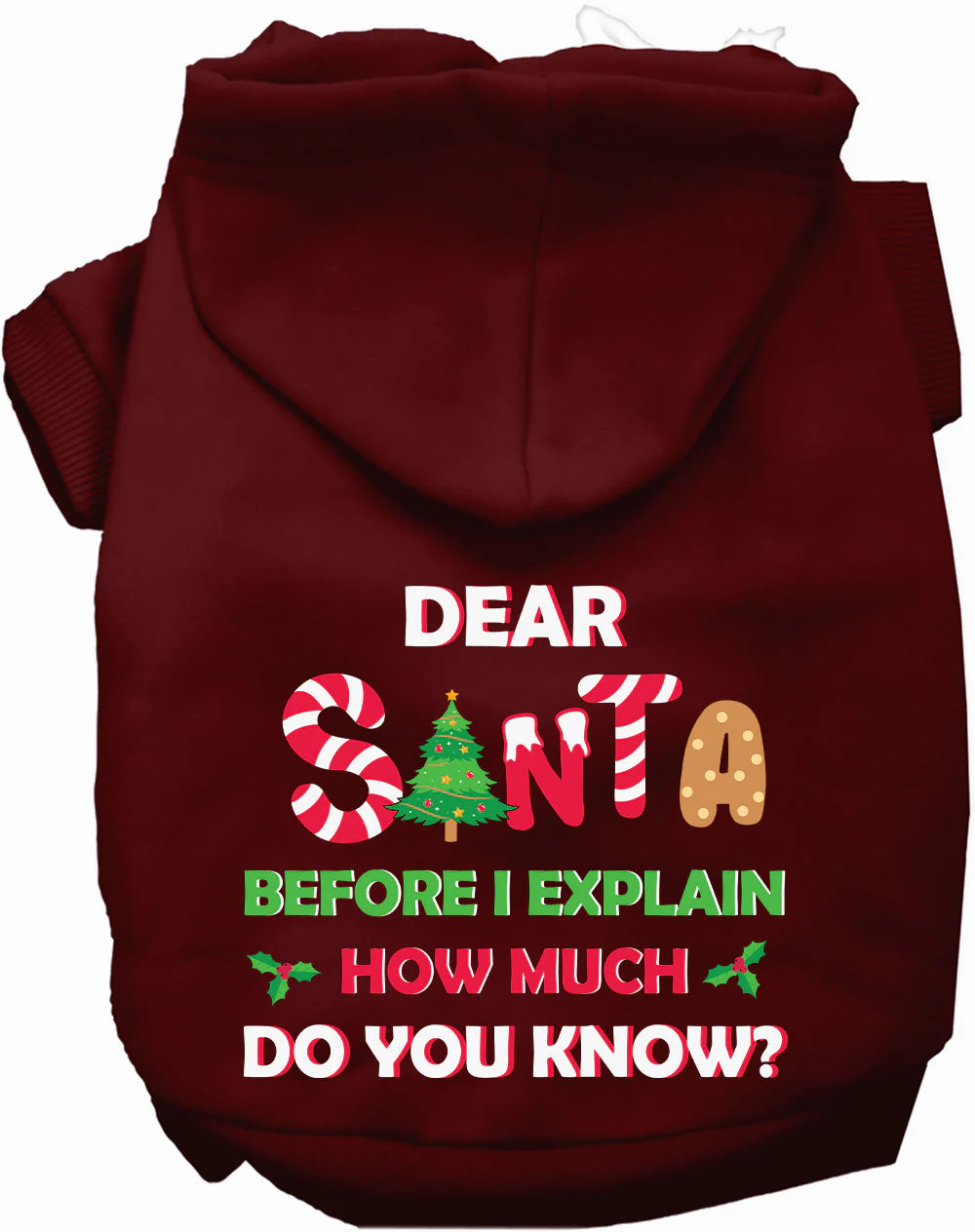 Santa, How Much Do You Know? Christmas Pet Hoodie - Image 8