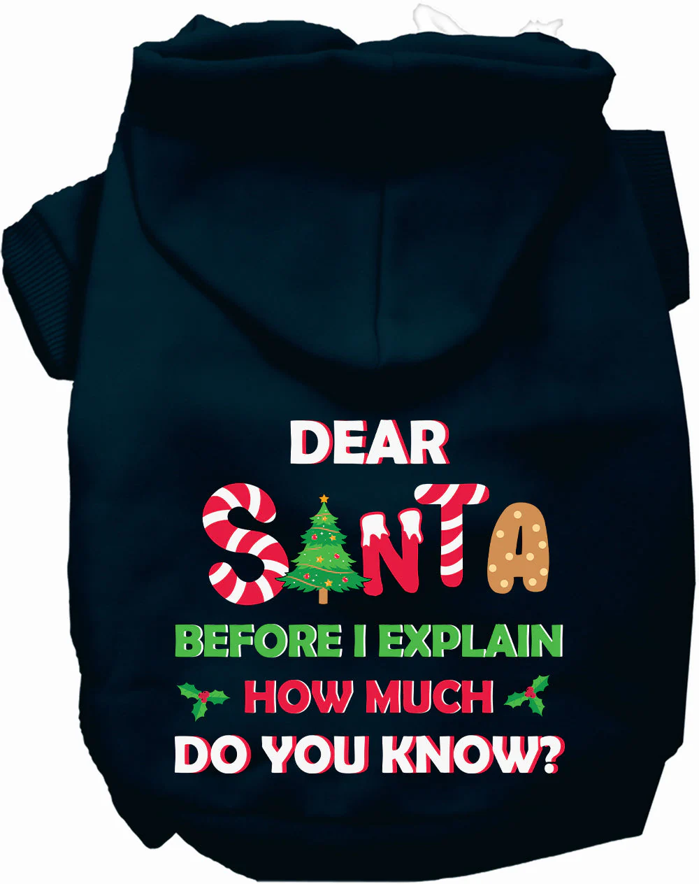 Santa, How Much Do You Know? Christmas Pet Hoodie - Image 9