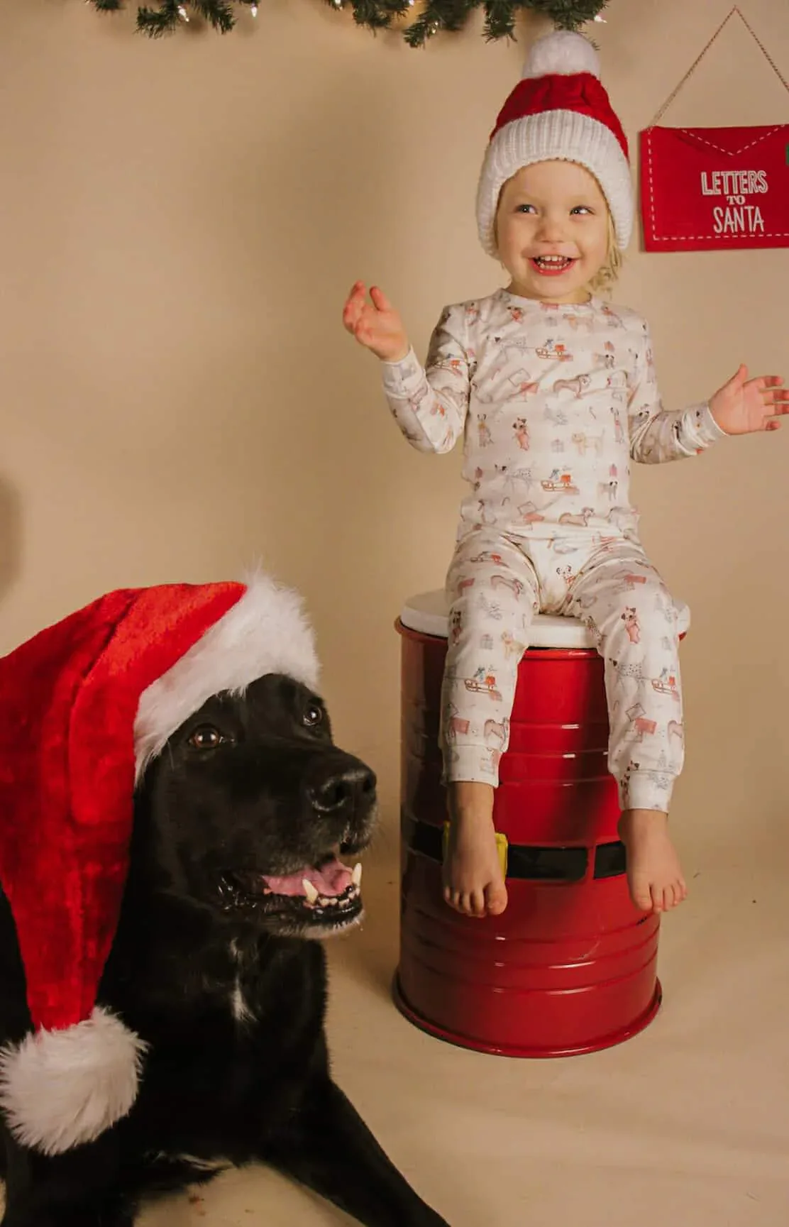 Santa Paws 2pc Bamboo Pajamas - Image 16