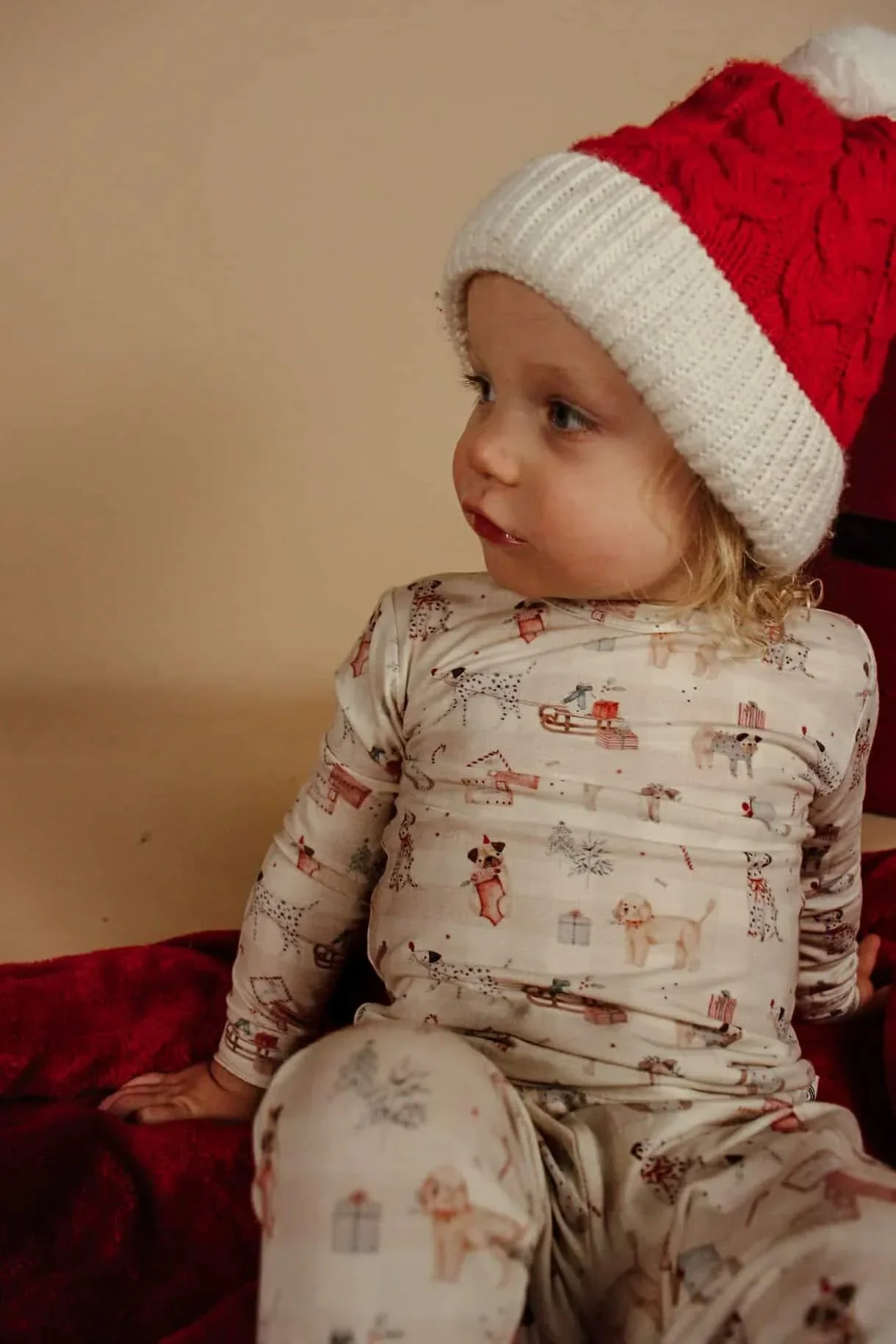 Santa Paws 2pc Bamboo Pajamas - Image 17