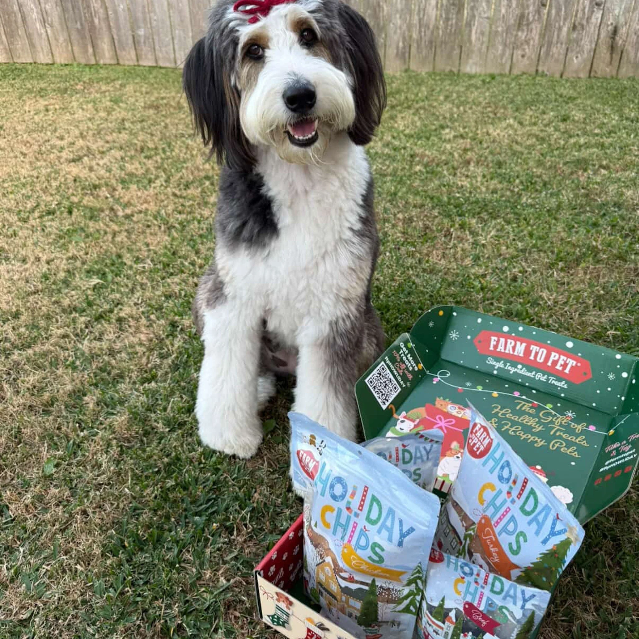 Santa Paws' Best Chipmas Dog Treat Box - Image 7