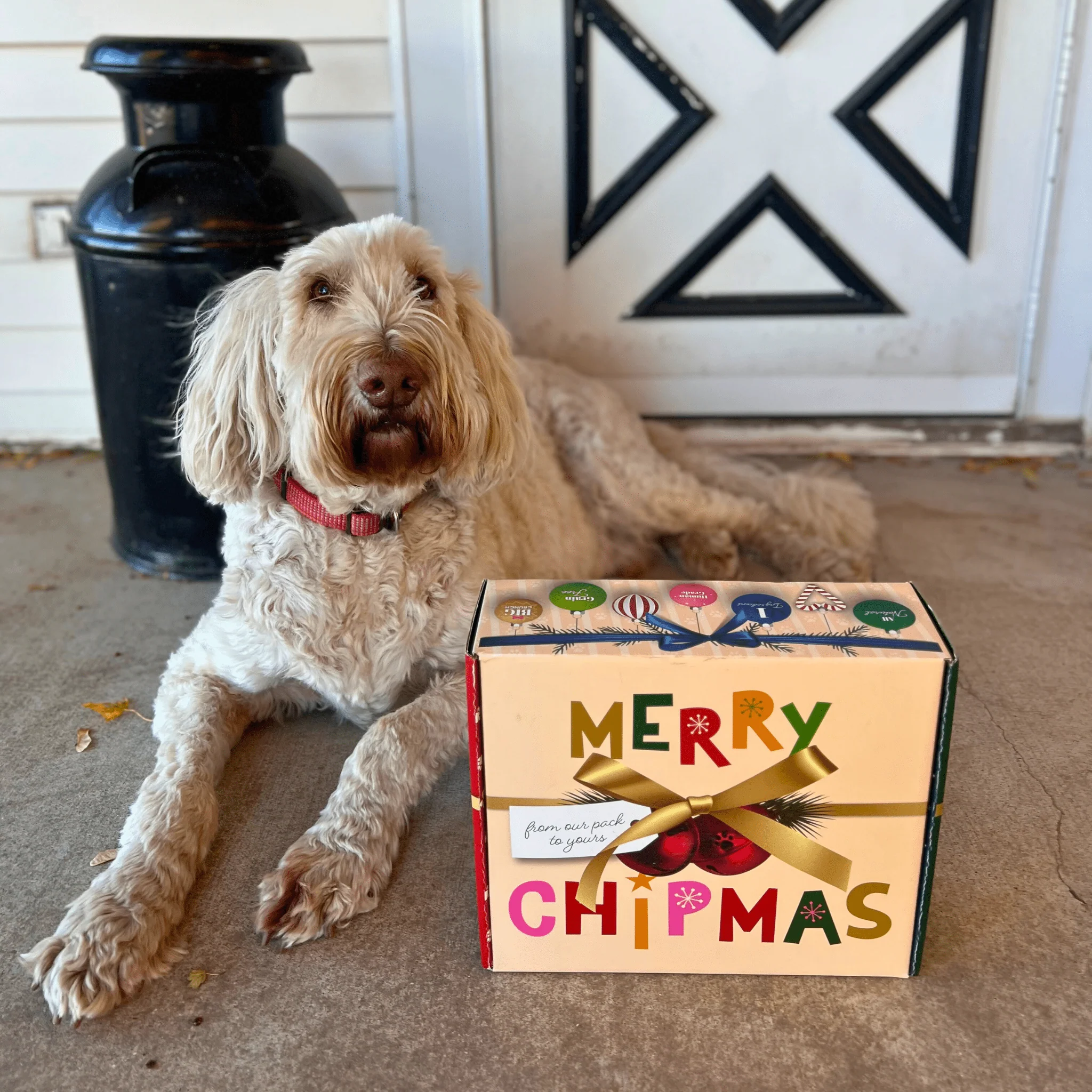 Santa Paws' Best Chipmas Dog Treat Box - Image 9