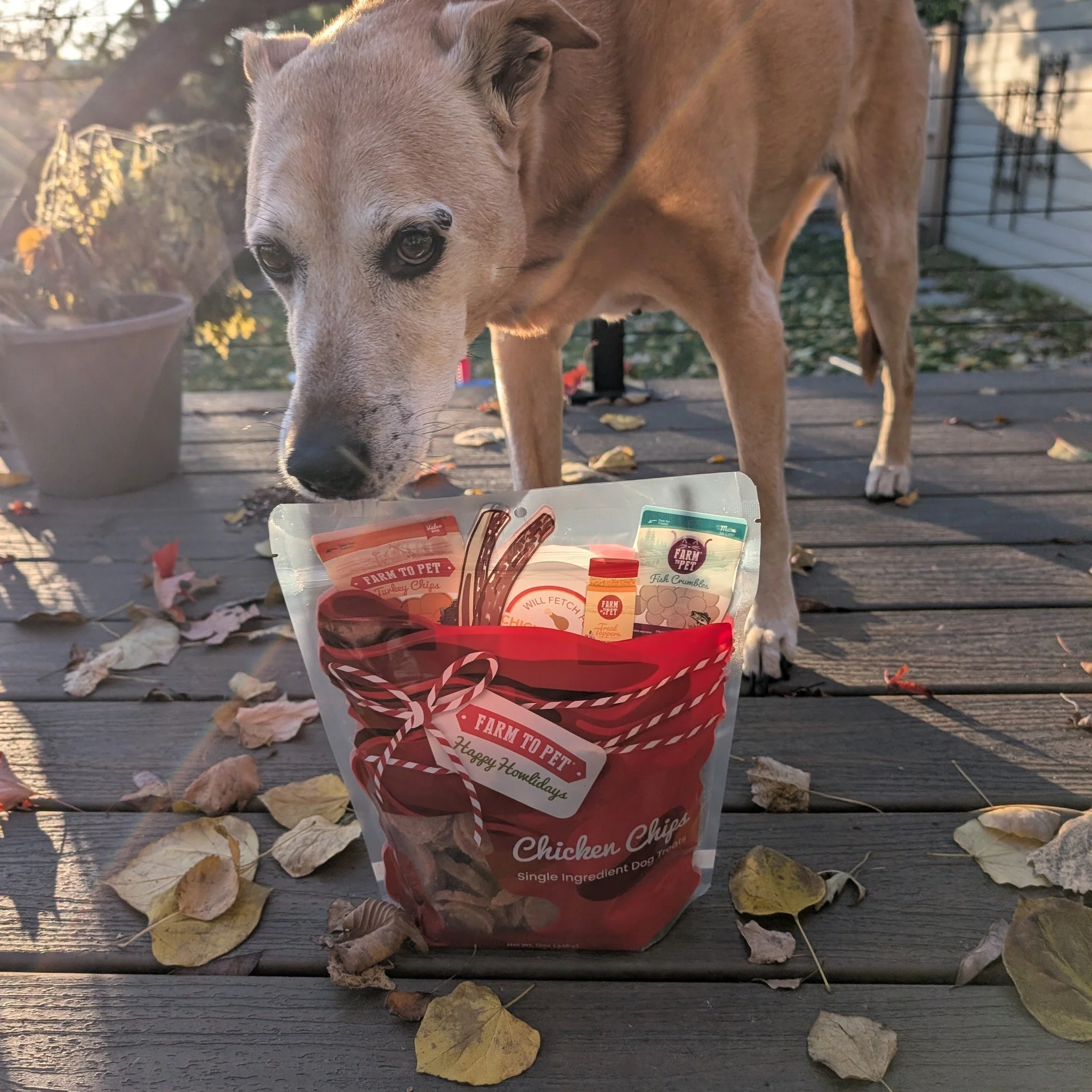 Santa Paws' Chicken Chips Gift Sack - Image 3