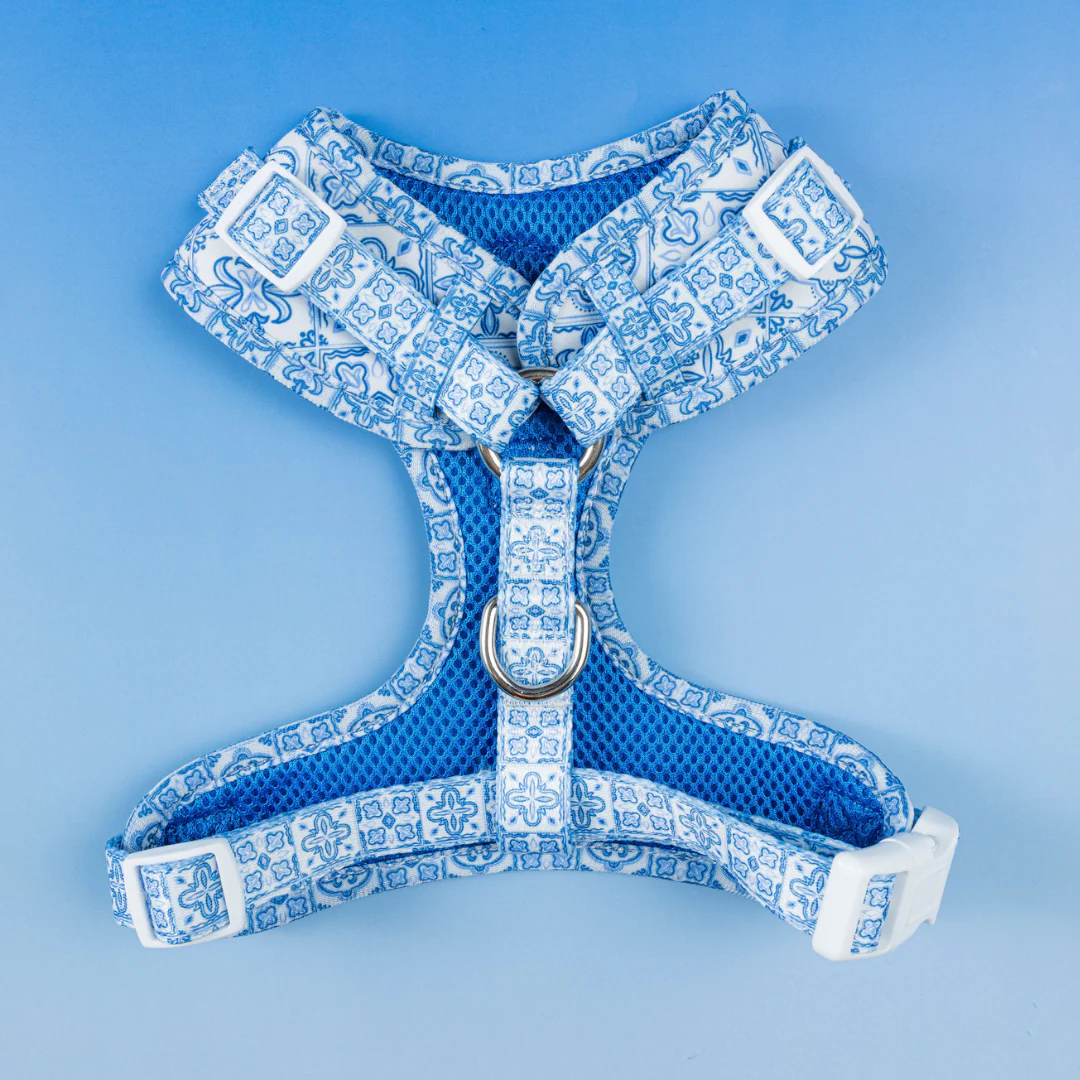 Santorini Adjustable Harness - Image 2