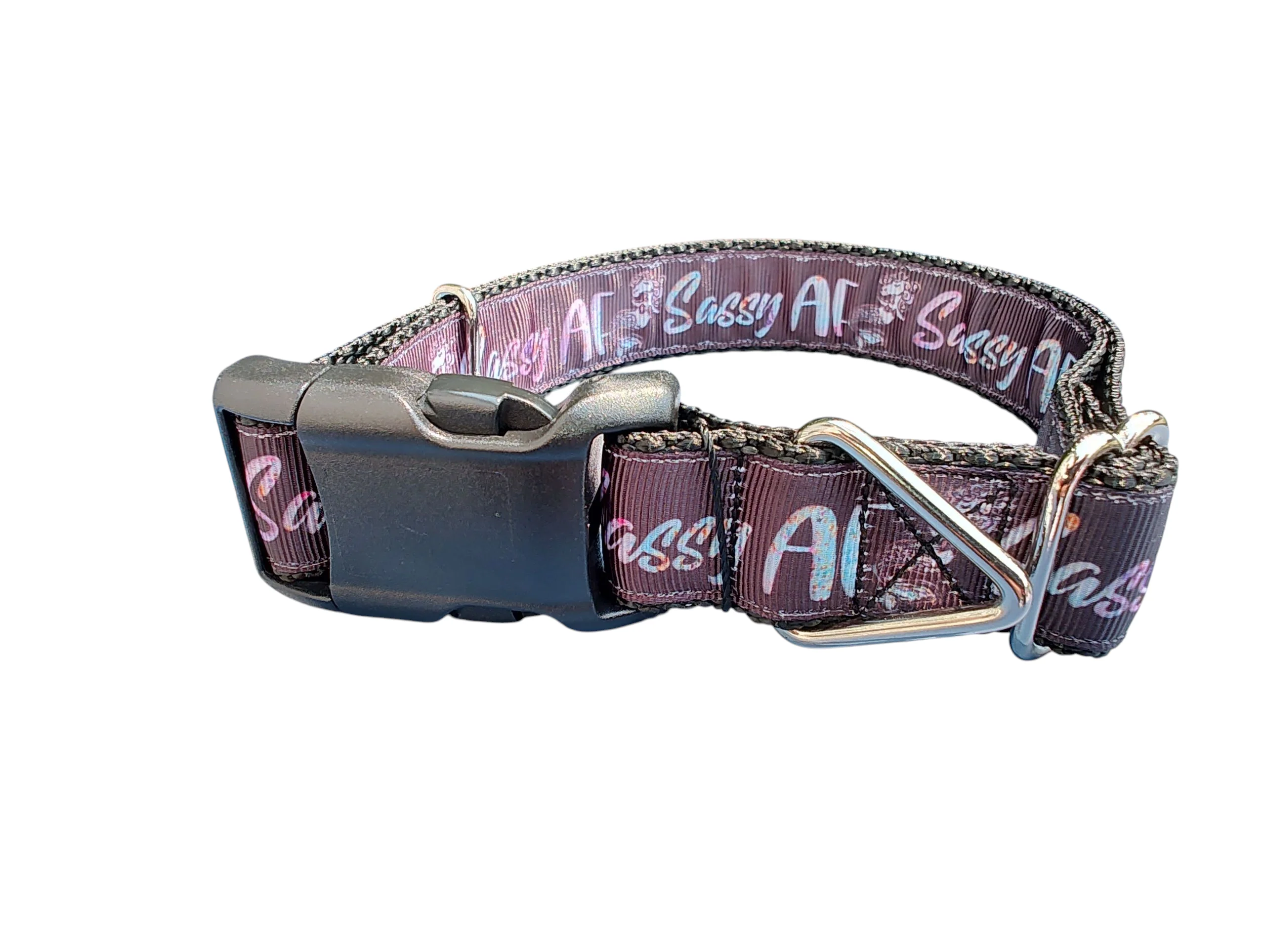 Sassy AF Nylon Dog Collar - Image 2