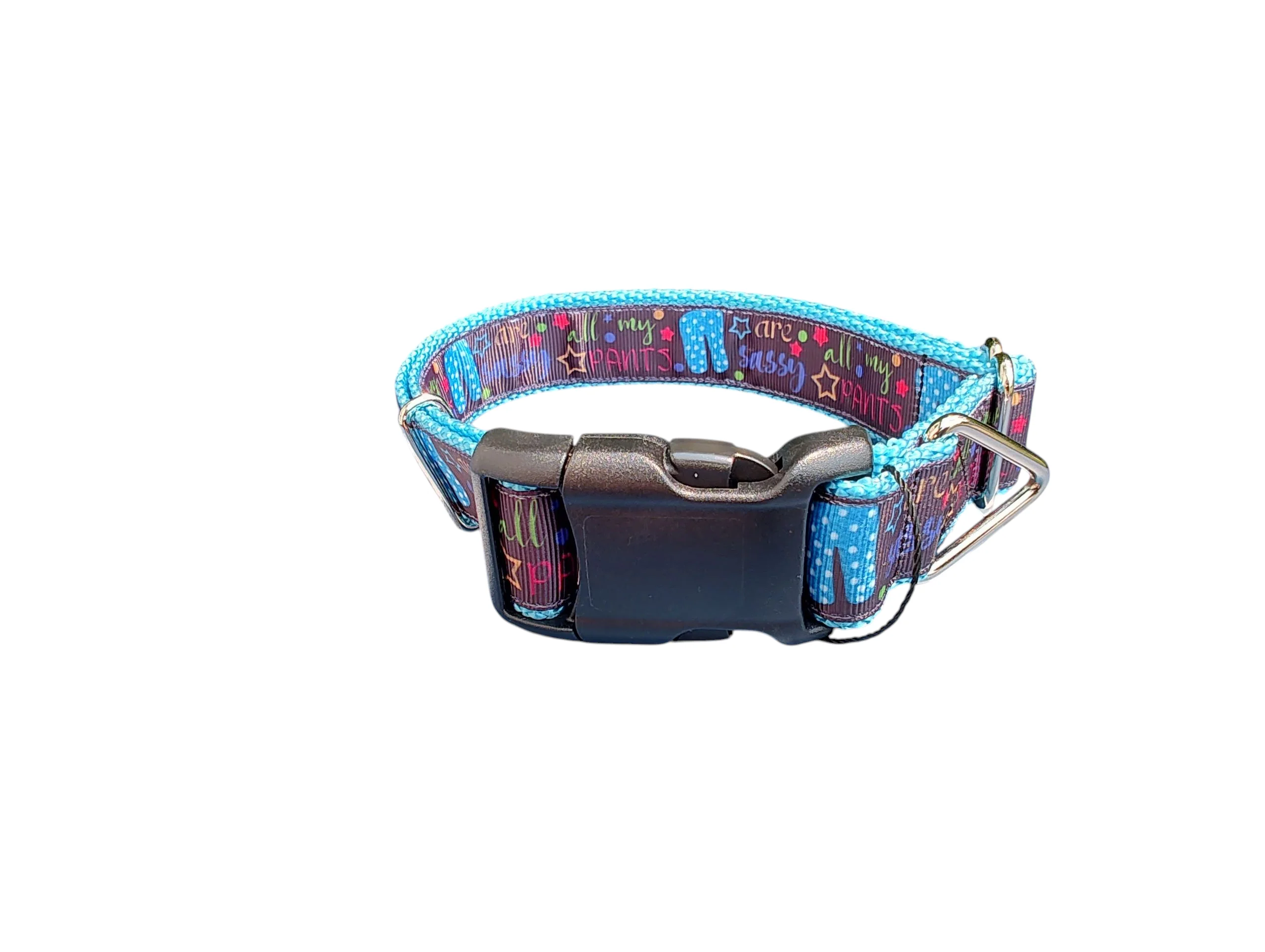 Sassy Pants Nylon Dog Collar - Image 2