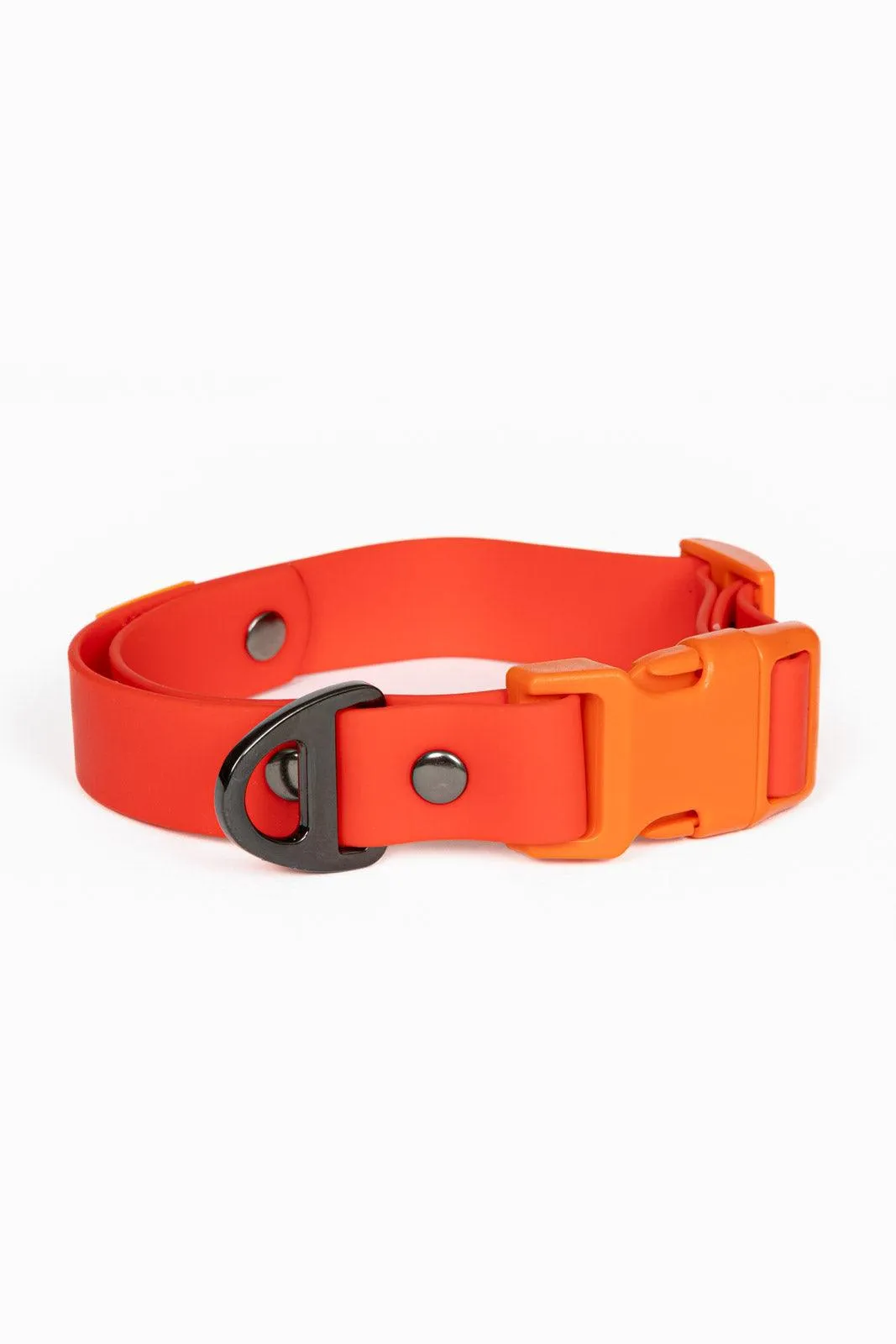 Scarlet Peaks Waterproof Dog Collar - Image 7