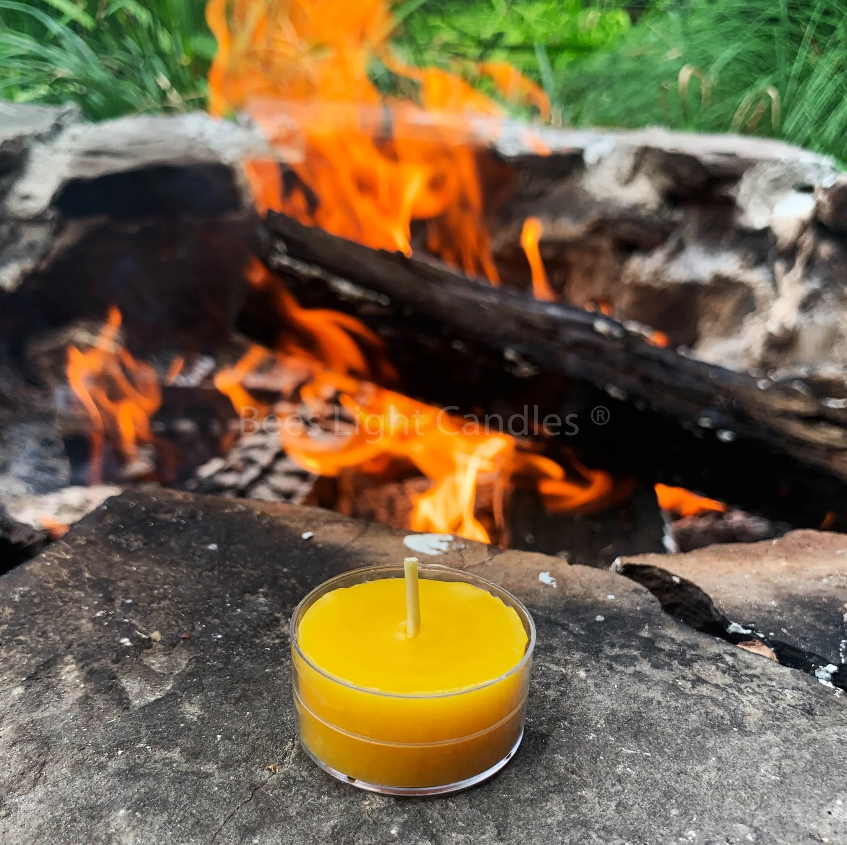 Scented Beeswax Tealight Candles Variety Pack - Image 3