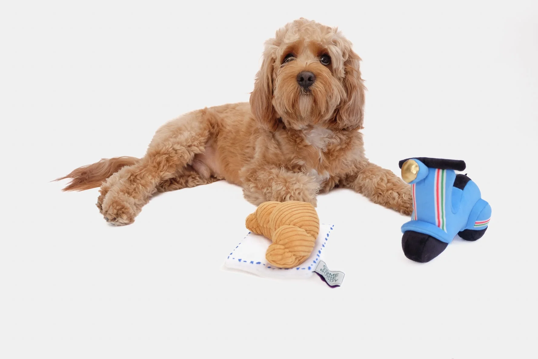 Scooter Pet Plush Toy - Image 4