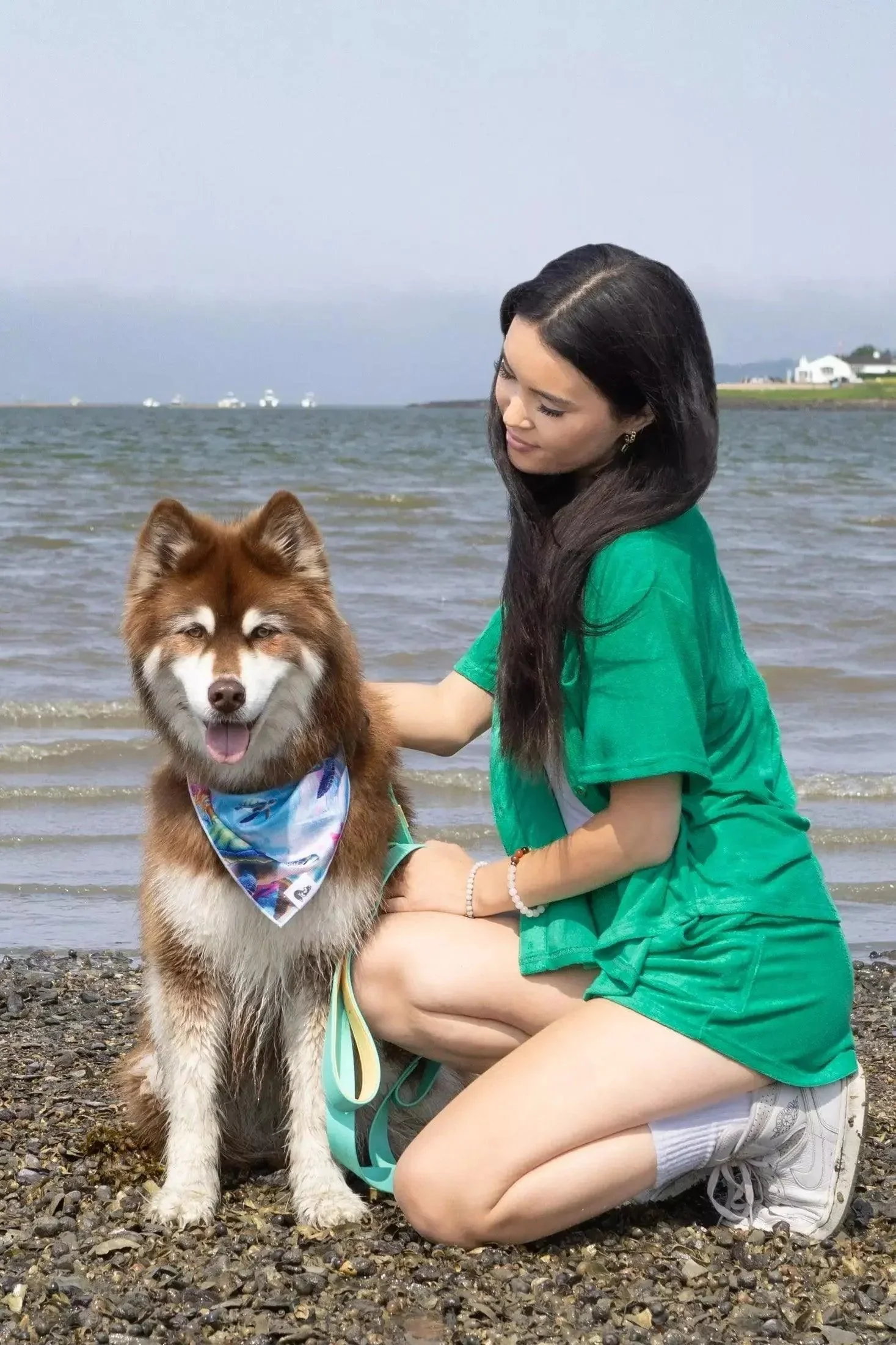 Sea Turtle Swim Dog Bandana - Image 3