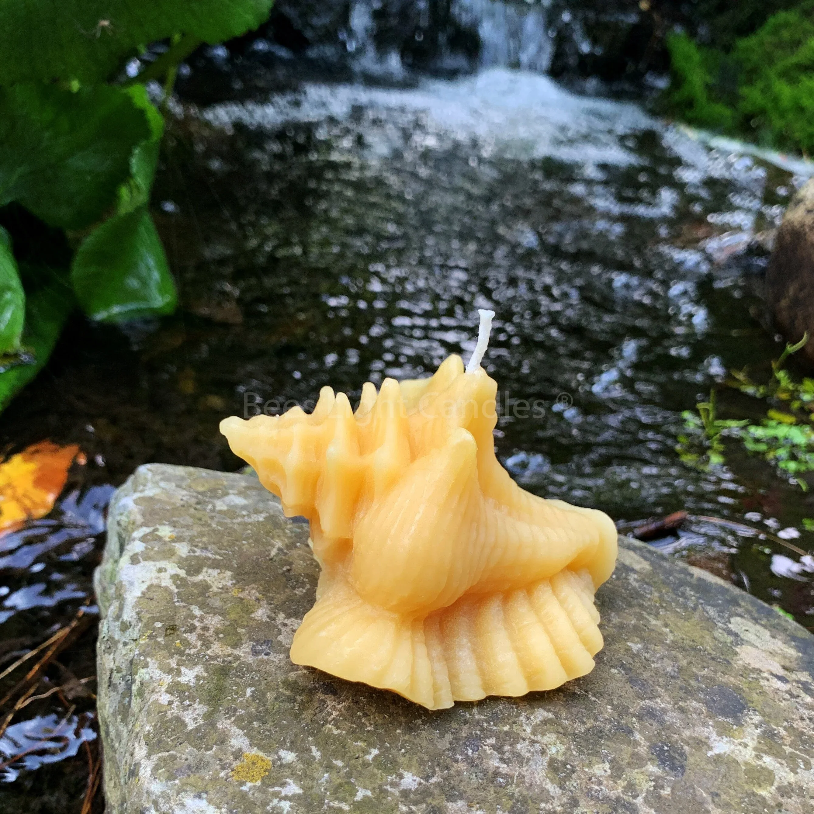 Seashell Beeswax Candle Set - Image 6
