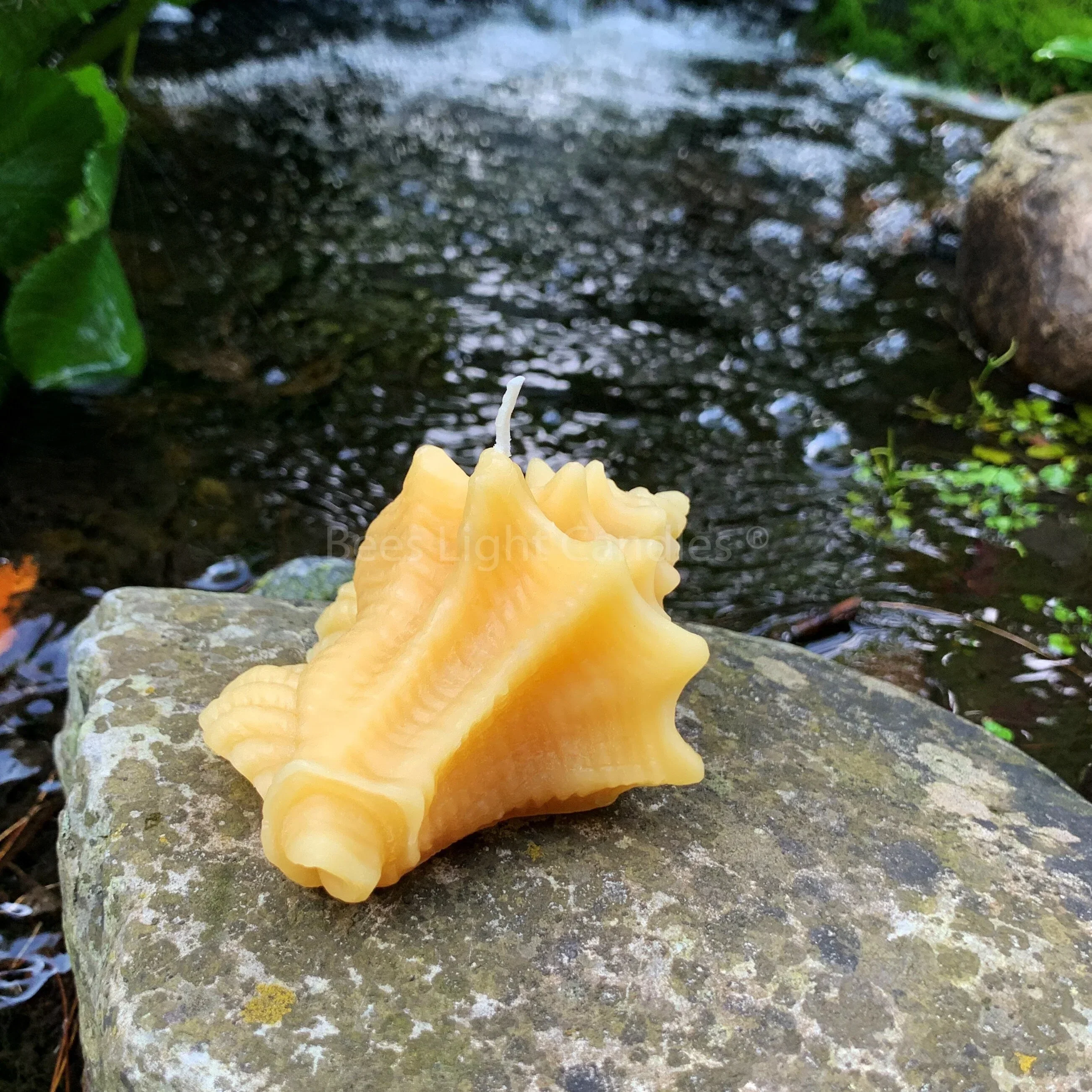 Seashell Beeswax Candle Set - Image 7