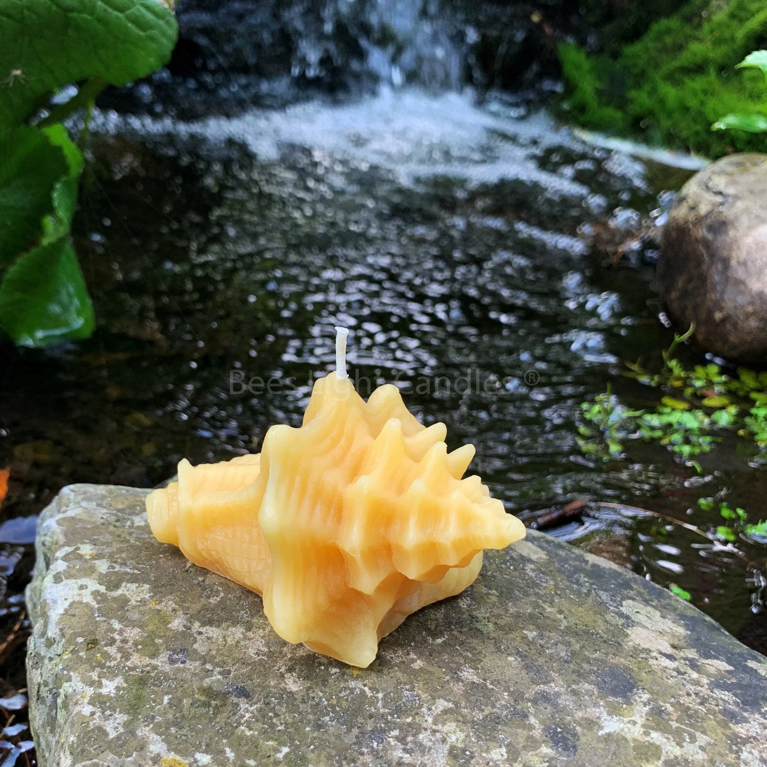 Seashell Beeswax Candle Set - Image 8