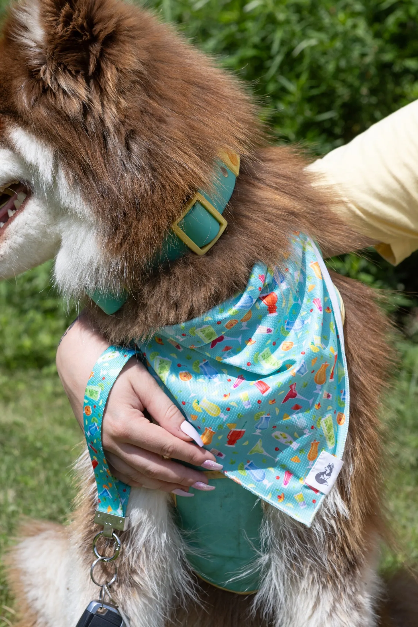 Seaside Sips Dog Bandana & Matching Keychain - Image 2
