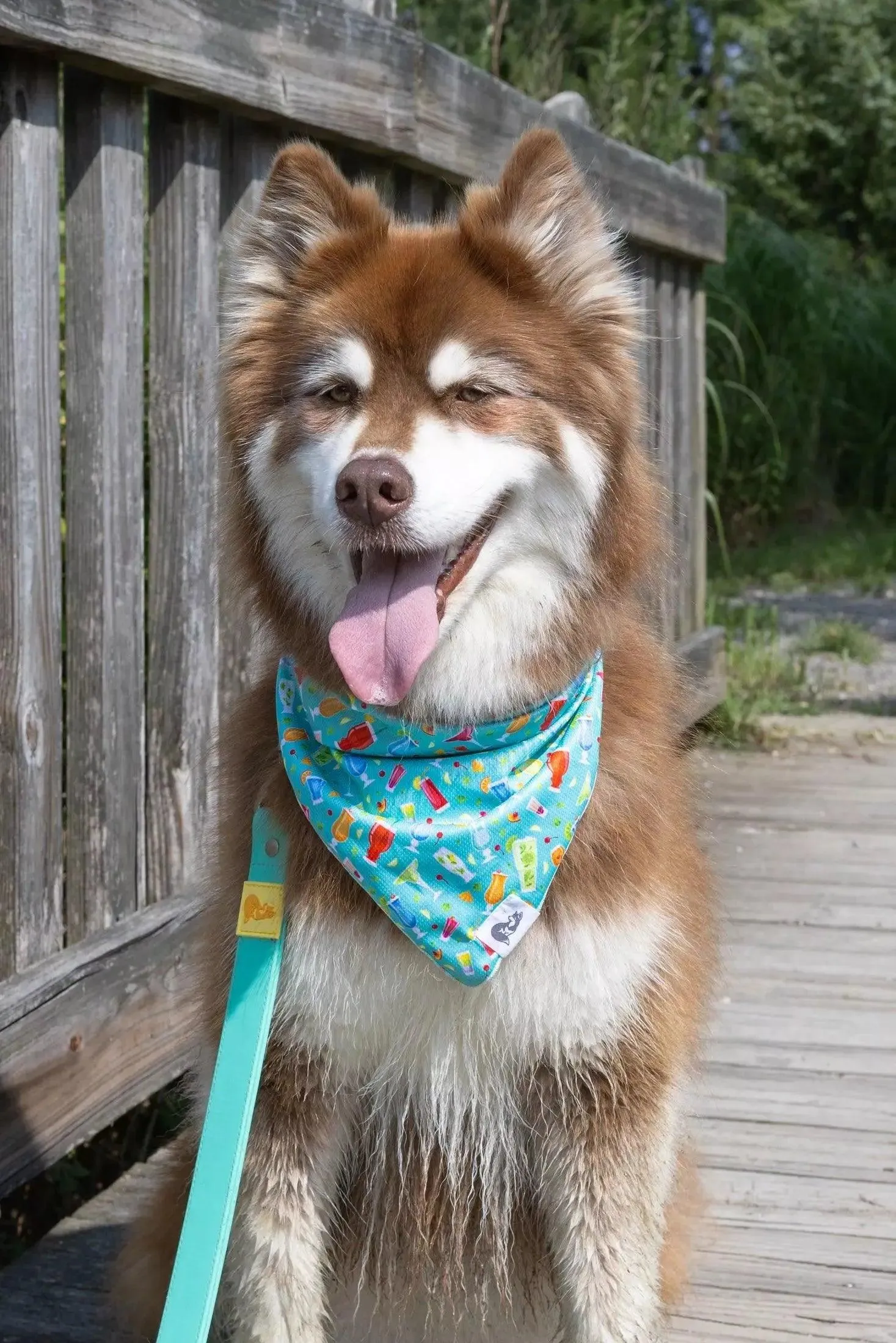 Seaside Sips Dog Bandana & Matching Keychain - Image 3