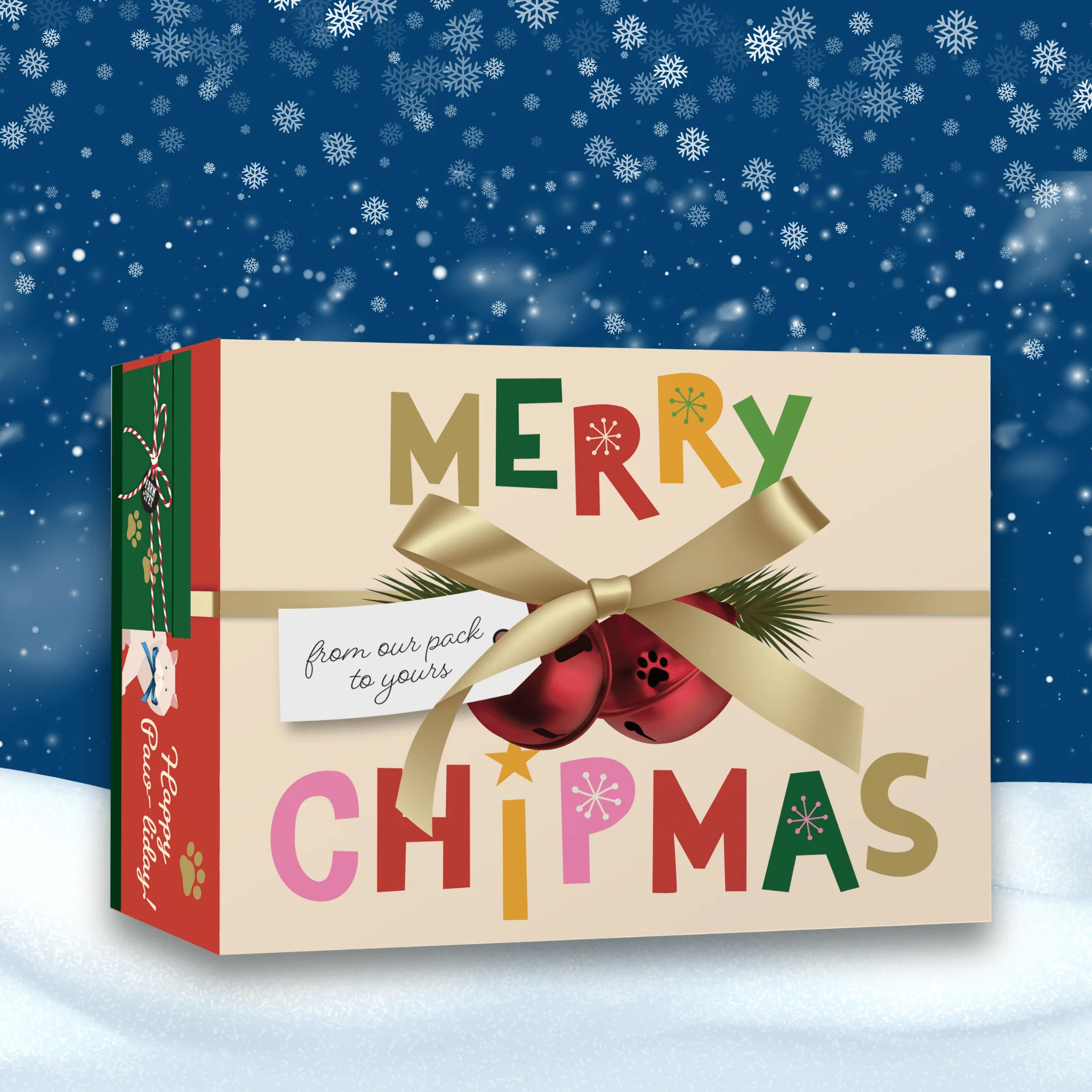 Seasons Treatings Dog Treats & Accessory Box - Image 3