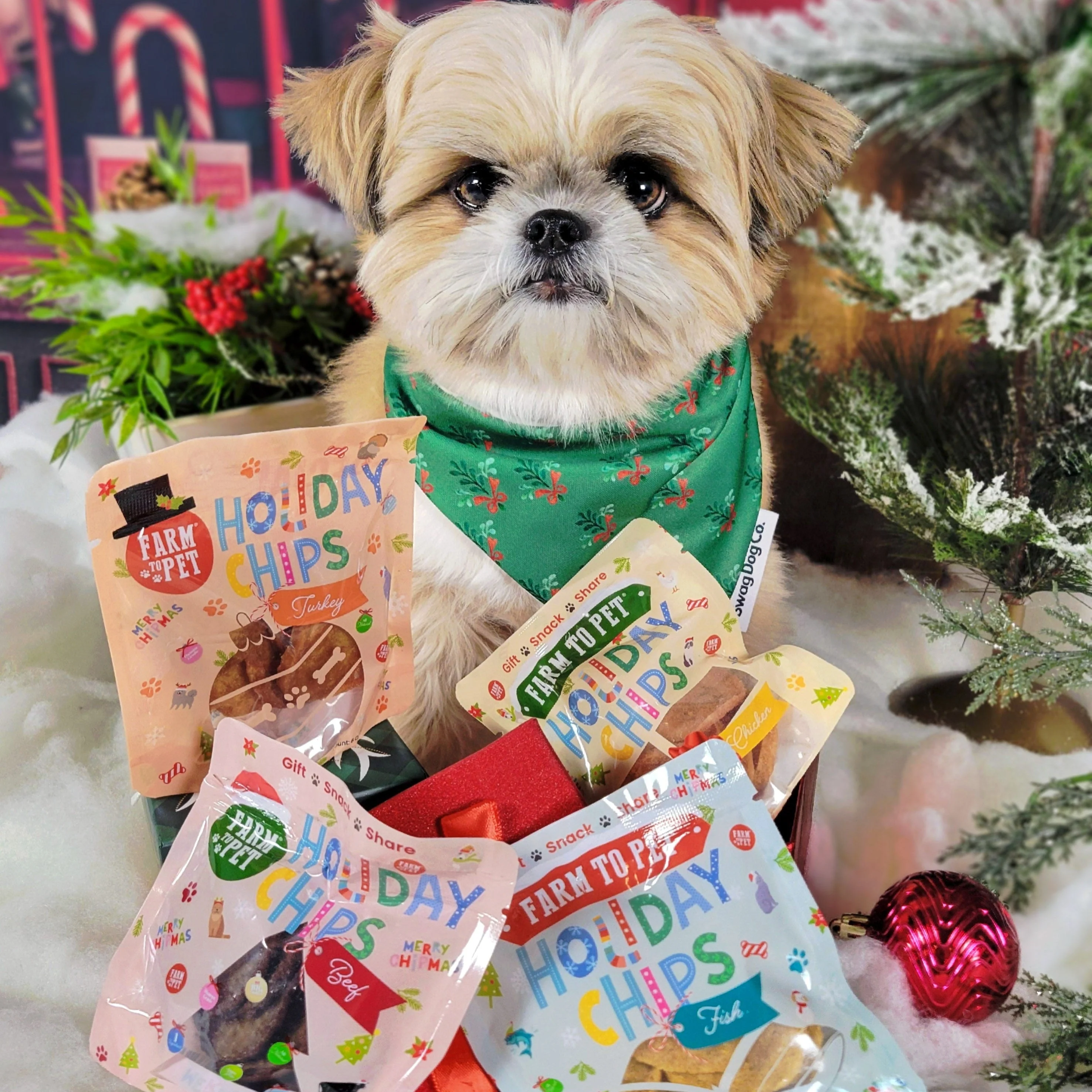 Seasons Treatings Dog Treats & Accessory Box - Image 7