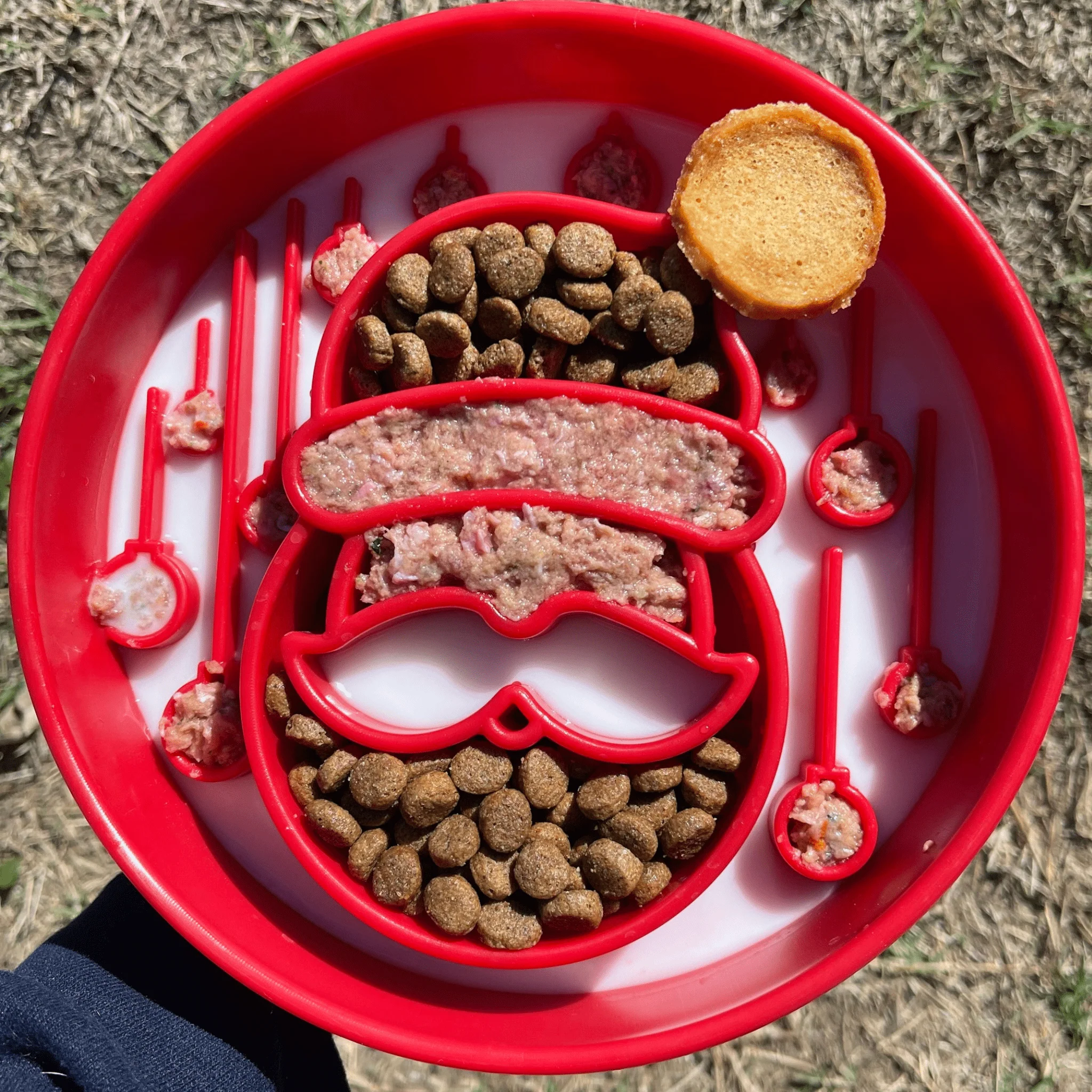 Seasons Treatings Dog Treats & Accessory Box - Image 8