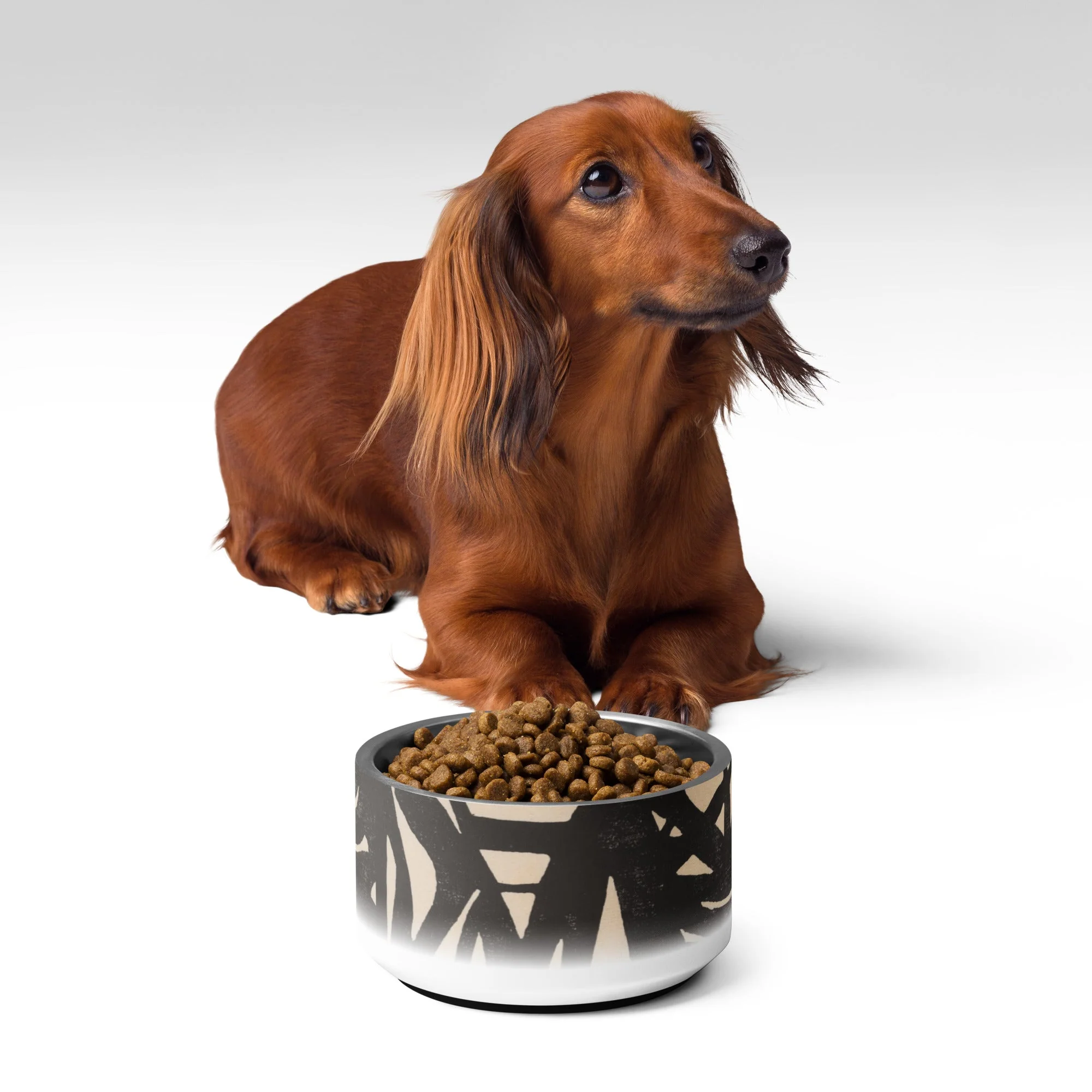 Sebastian & Clementine Composition XXII Vintage Collection Pet Bowl - Image 2