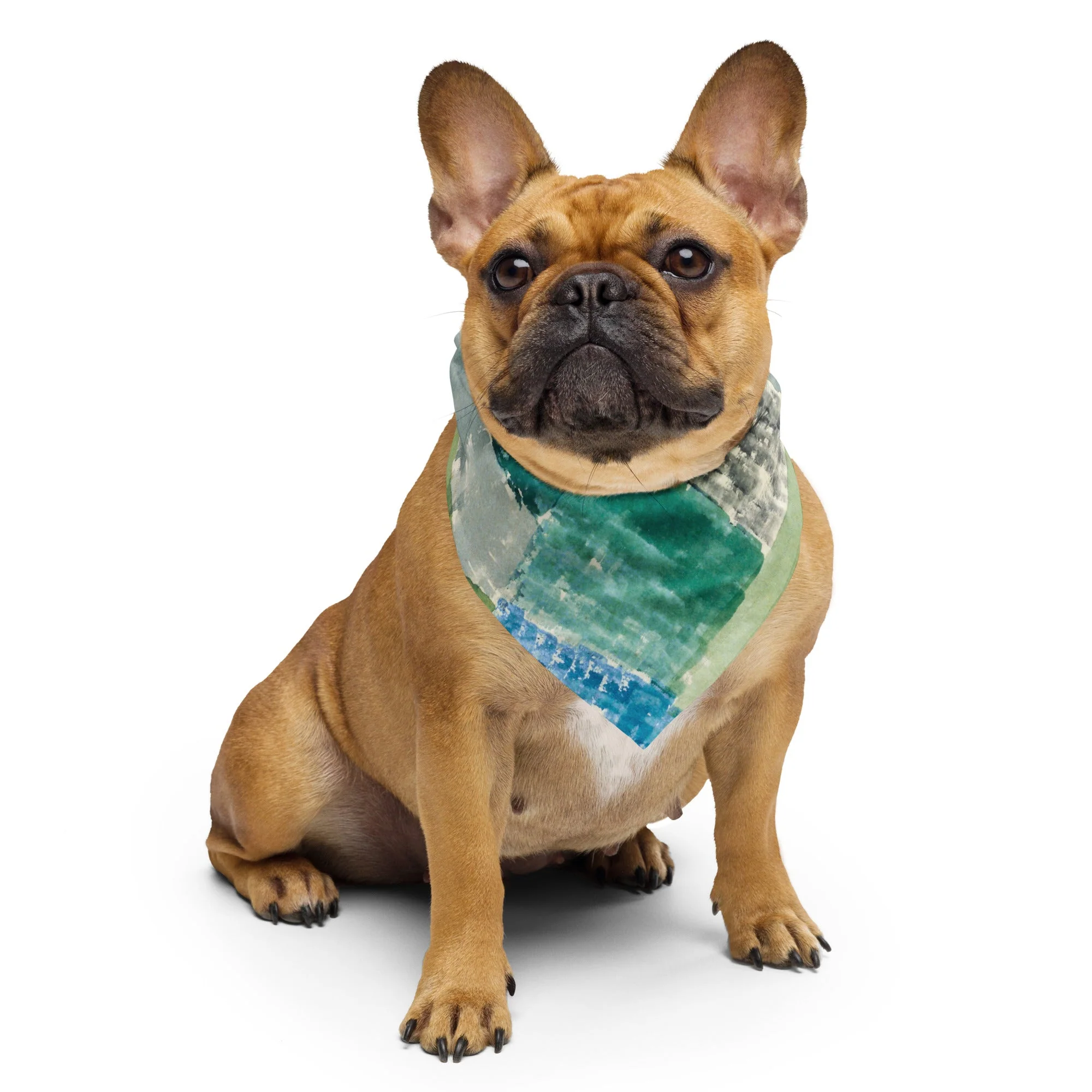 Sebastian & Clementine First House Pet Cotton Bandana