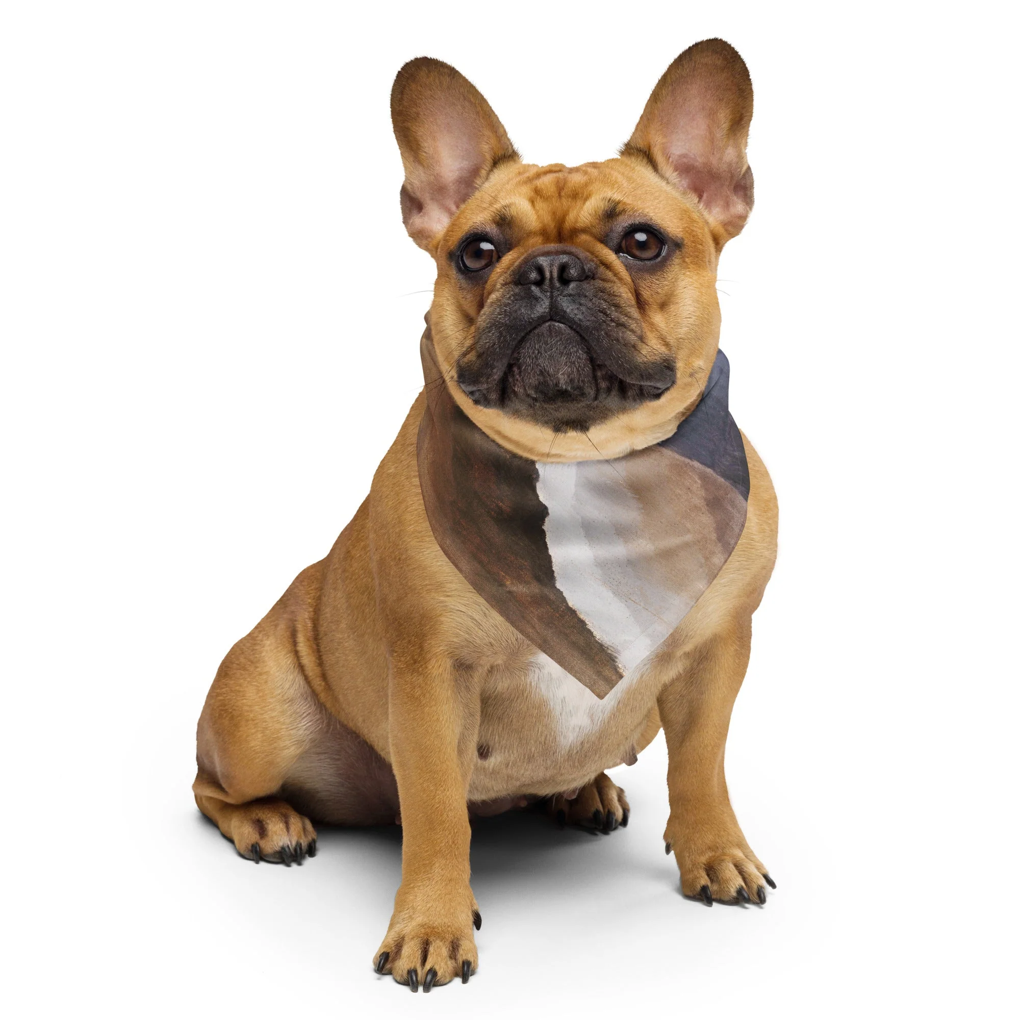 Sebastian & Clementine Reaching Waves Bandana For Dogs and Cats - Image 2