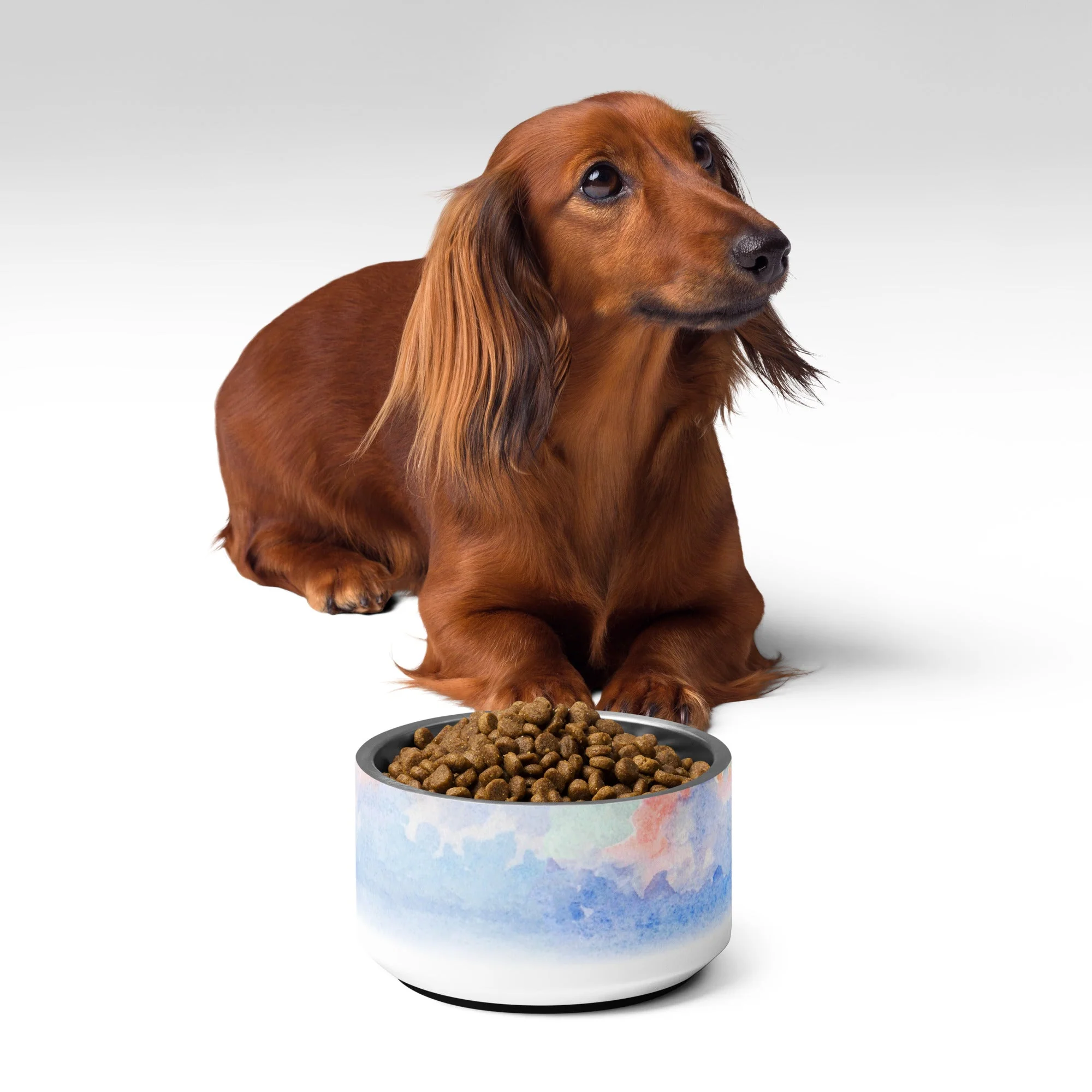 Sebastian & Clementine Venice Vintage Collection Pet Bowl - Image 2