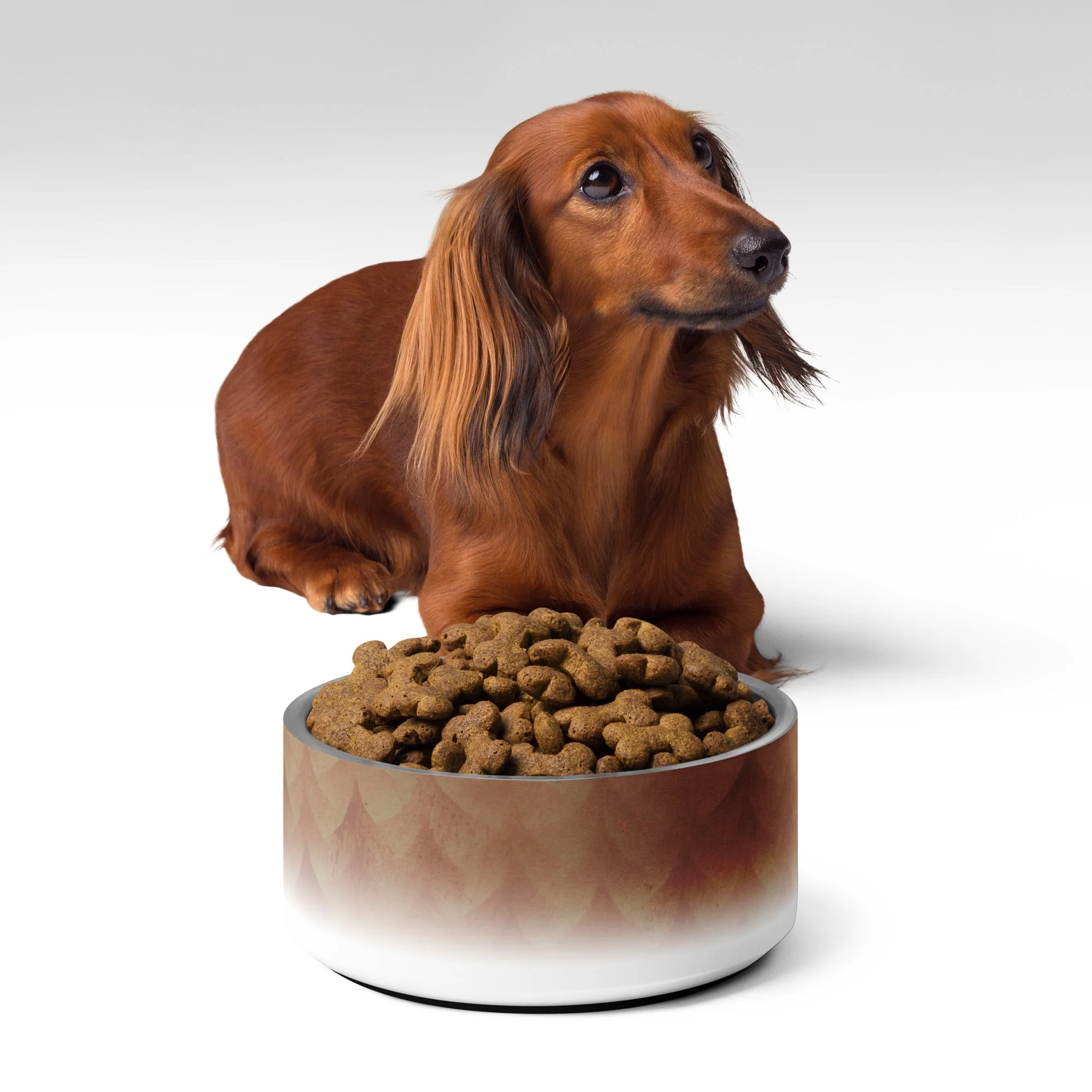Sebastian & Clementine Vintage Collection Pet Bowl - Image 3