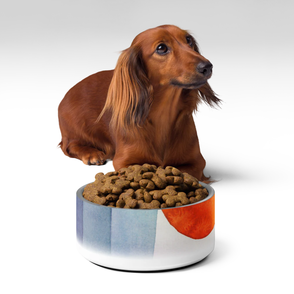 Sebastian & Clementine Vintage Collection Pet Bowl - Image 3
